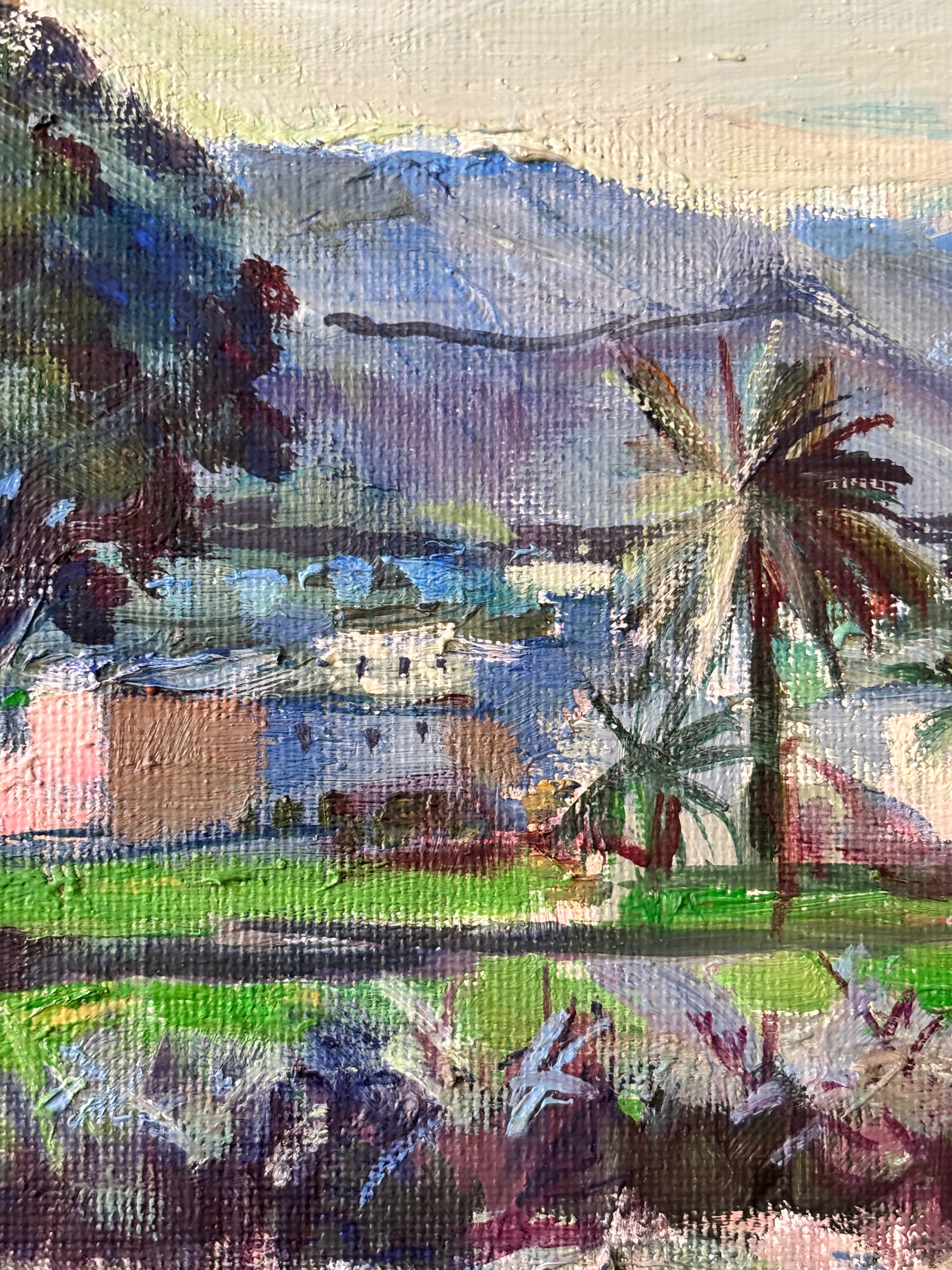 Moroccan Landscape in Spring