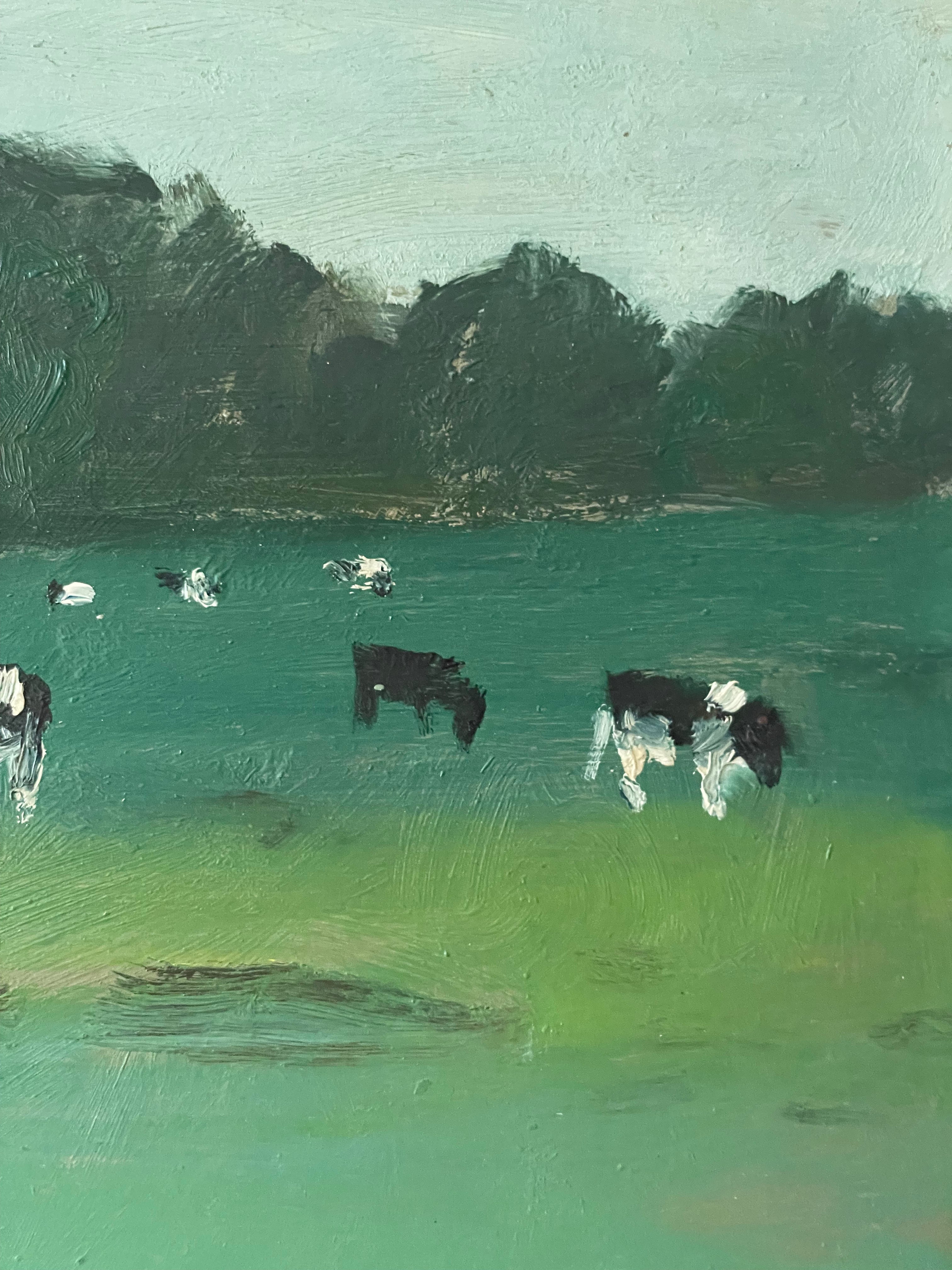 Cows in the Distance