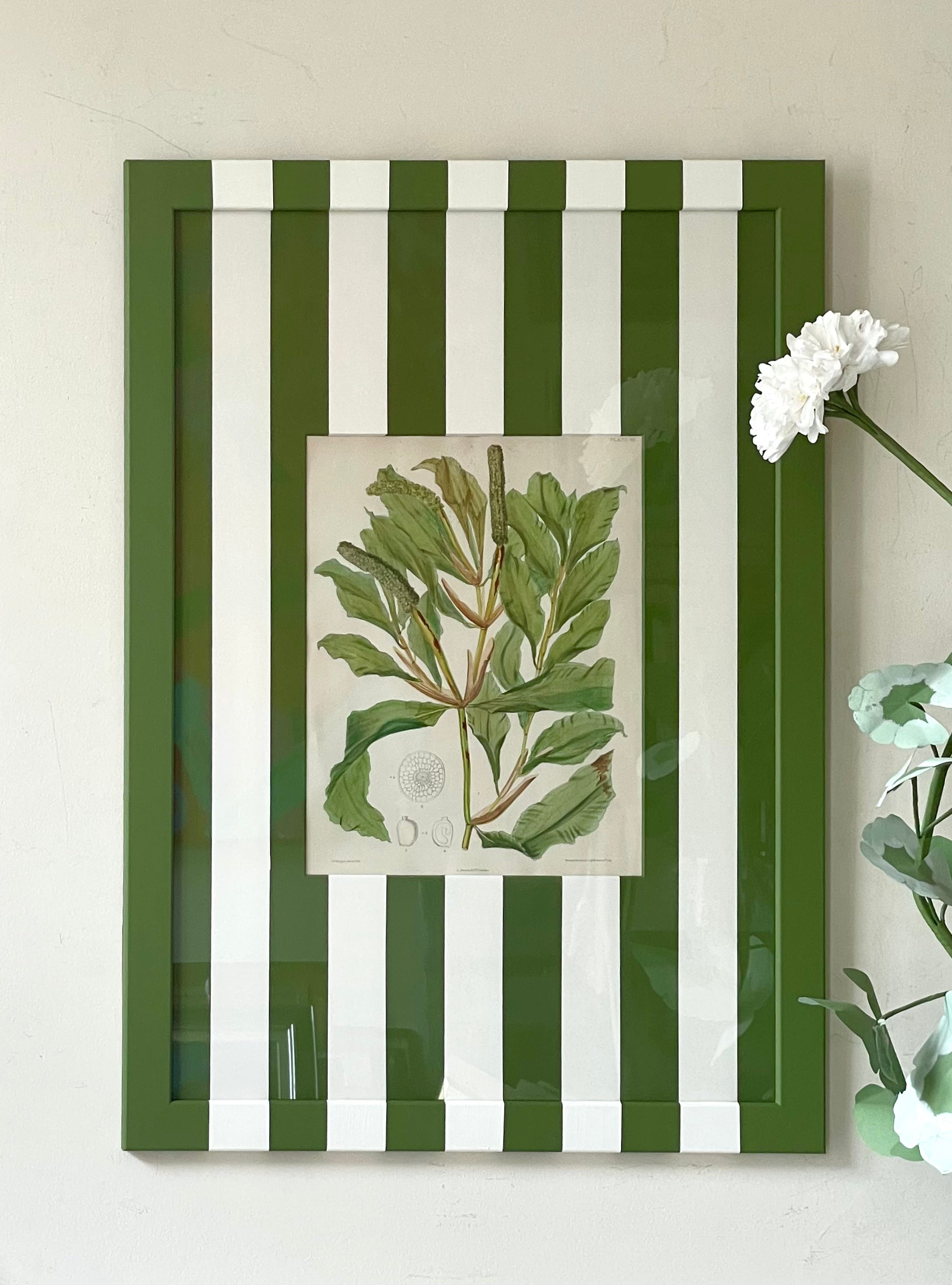 Large Green Striped Botanicals