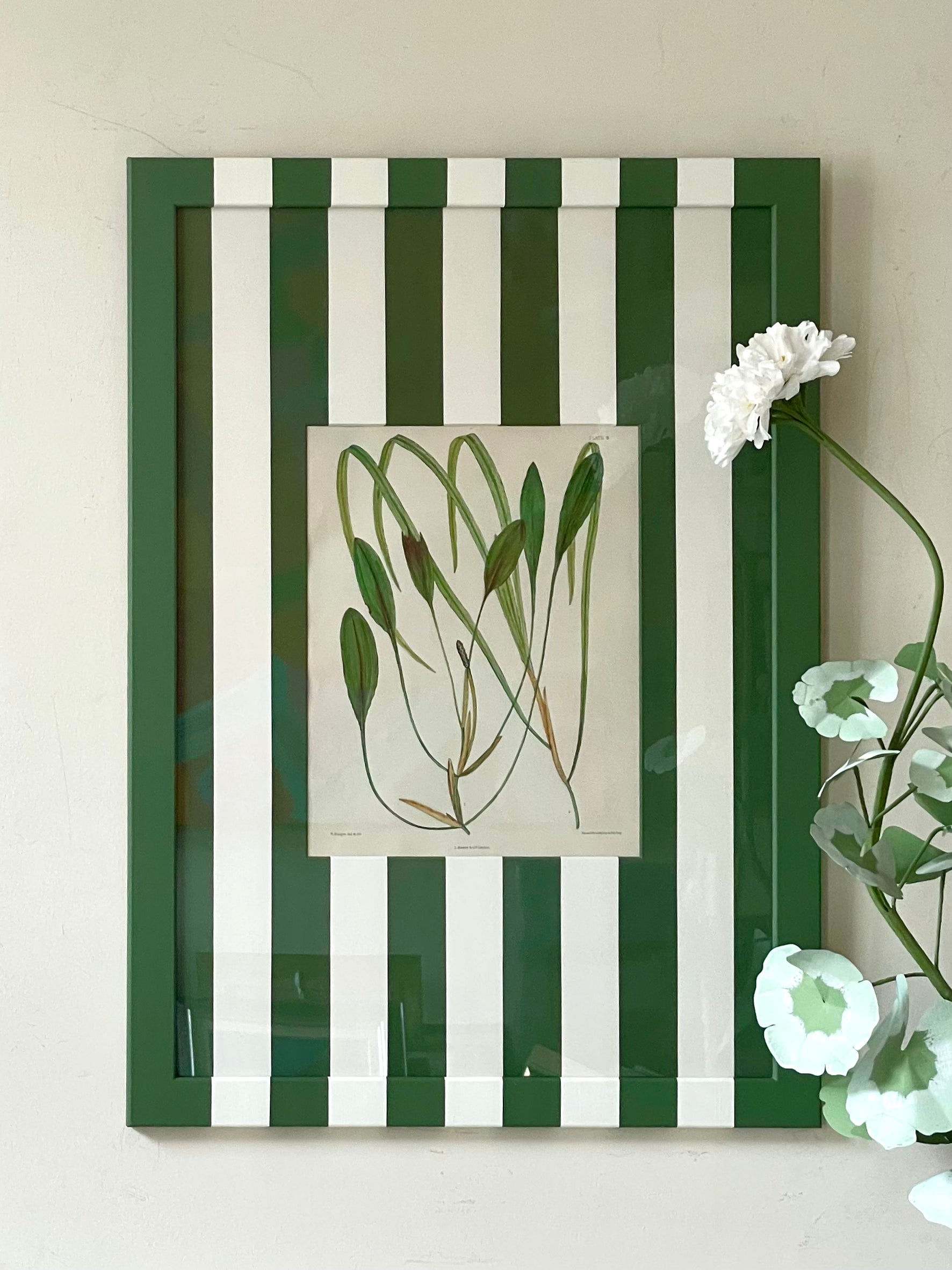 Large Green Striped Botanicals