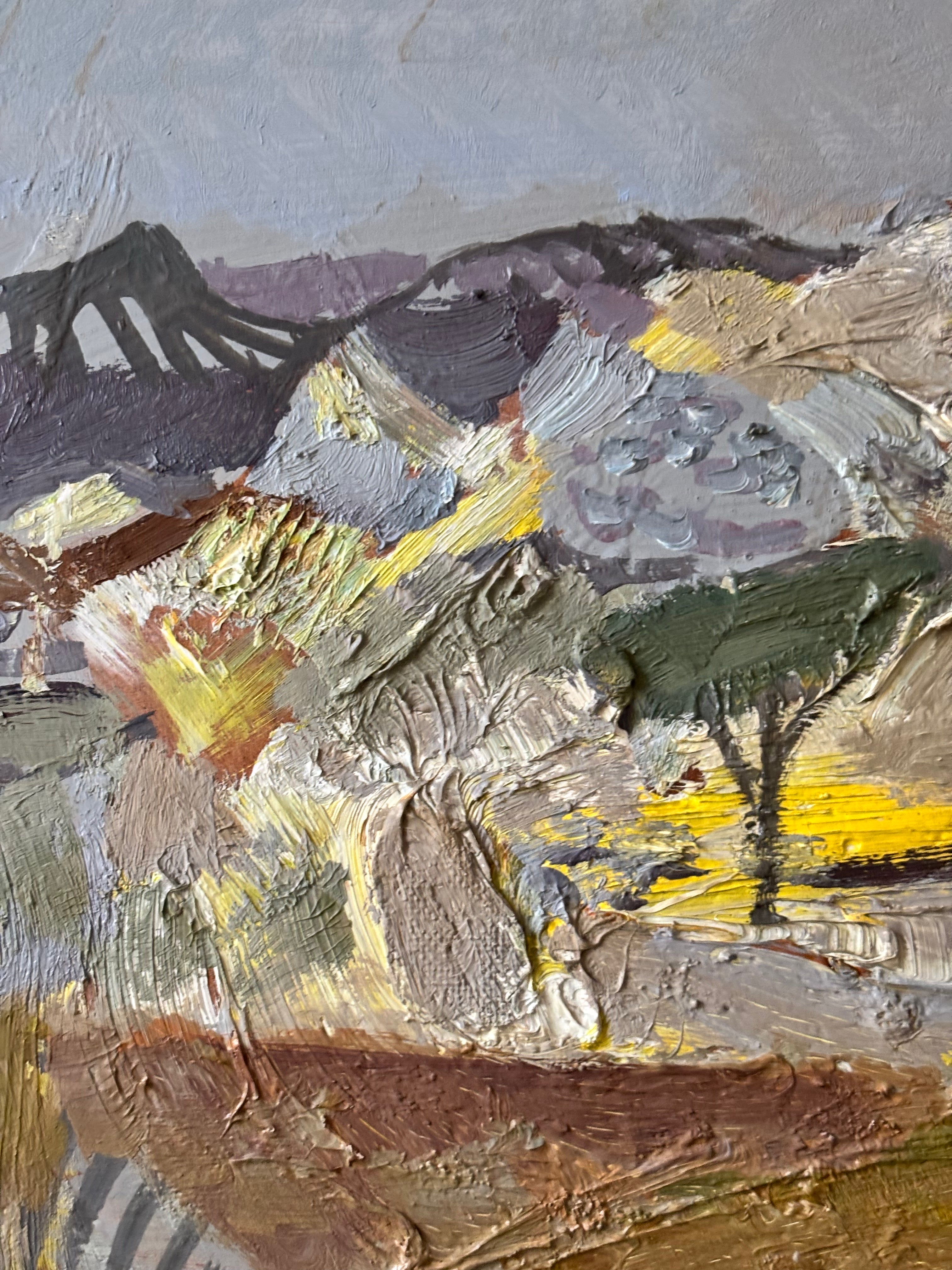 Donkey in the Mountains