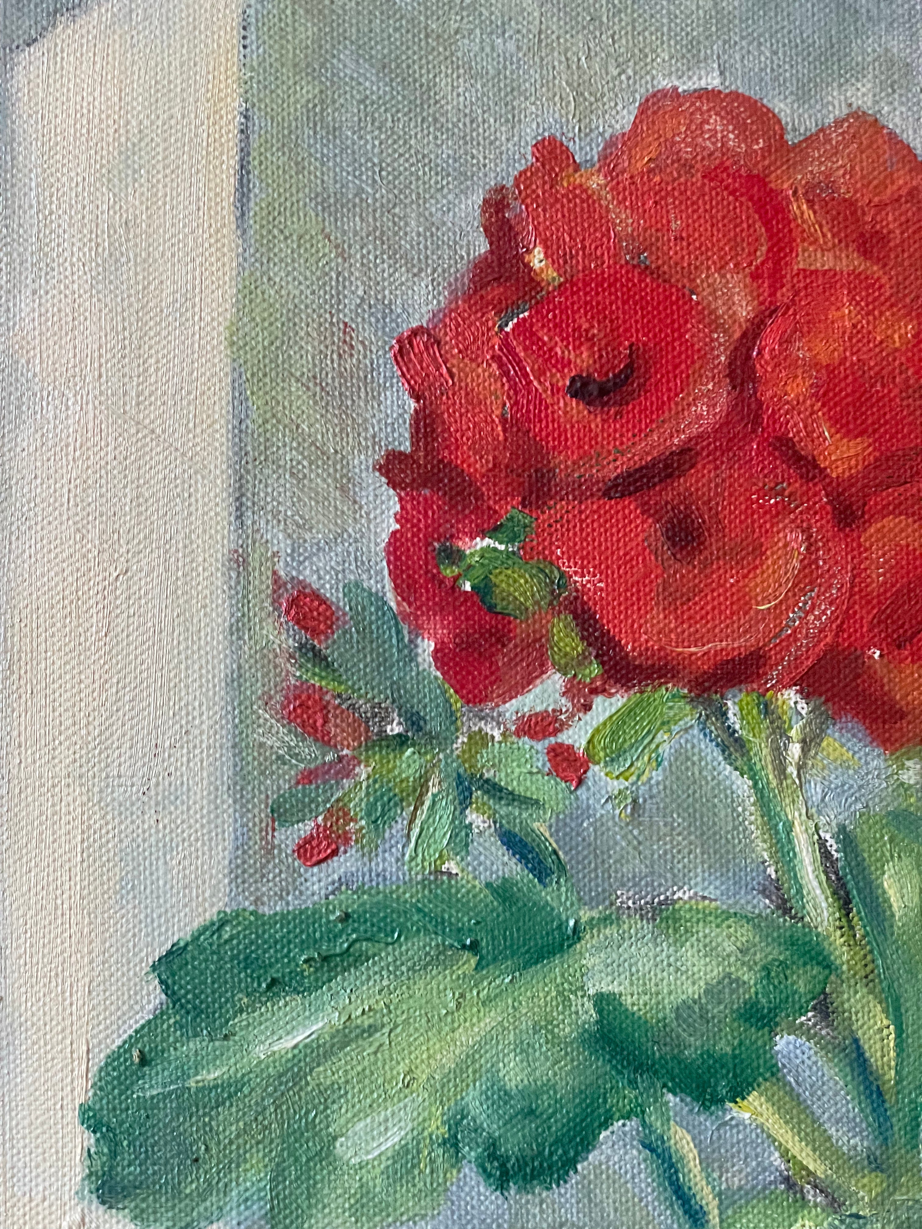 Red Geraniums