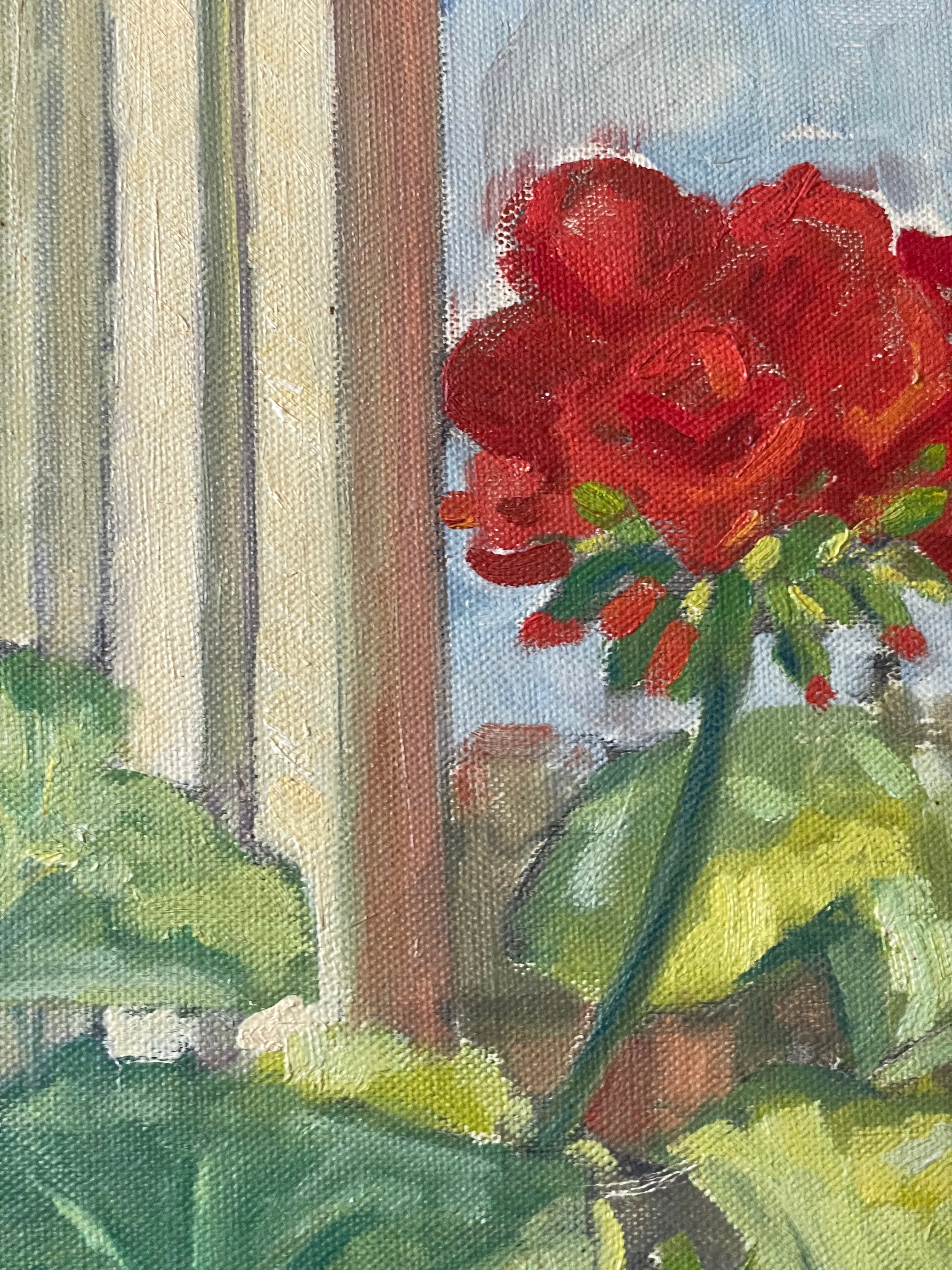 Red Geraniums