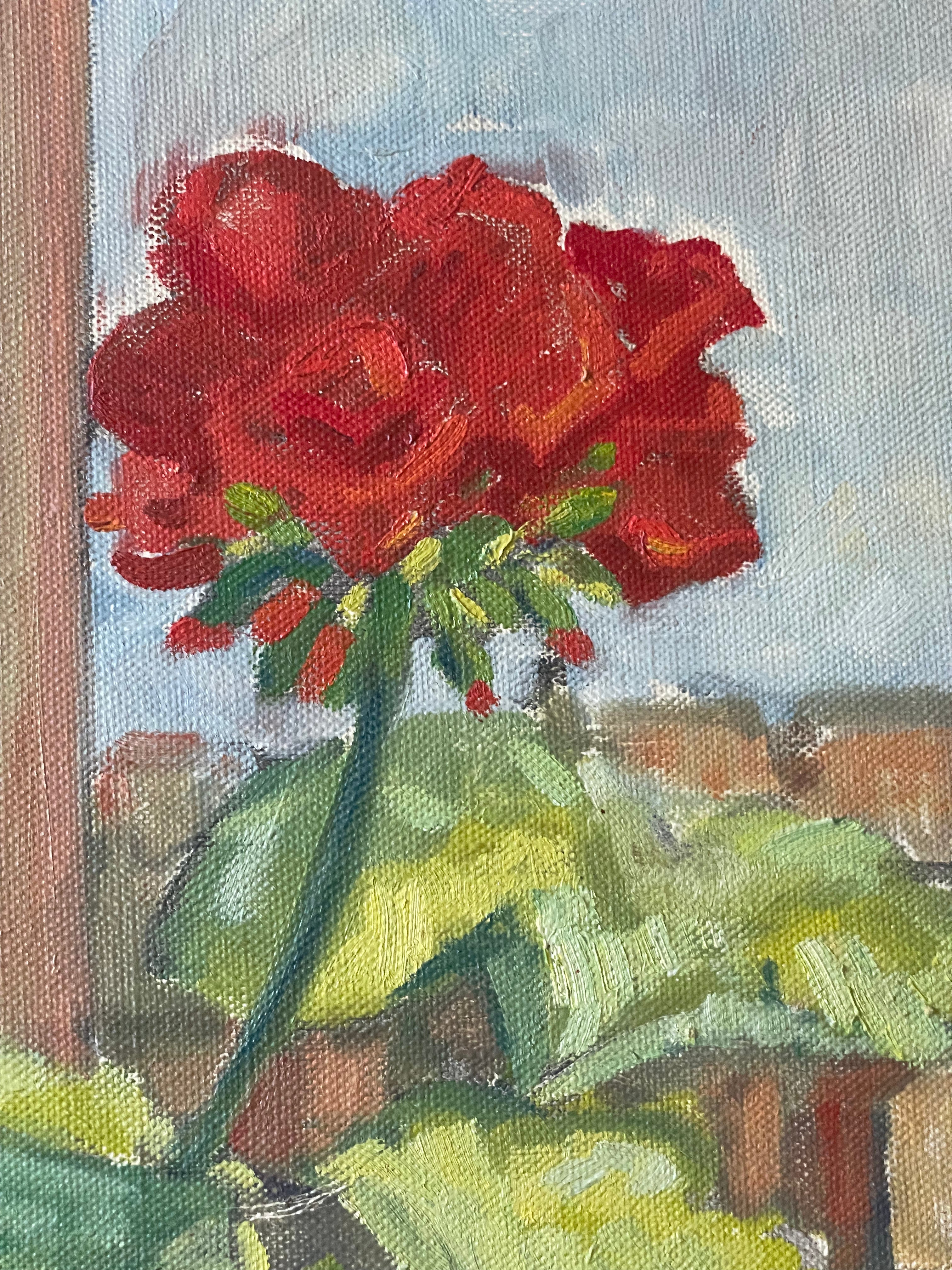 Red Geraniums