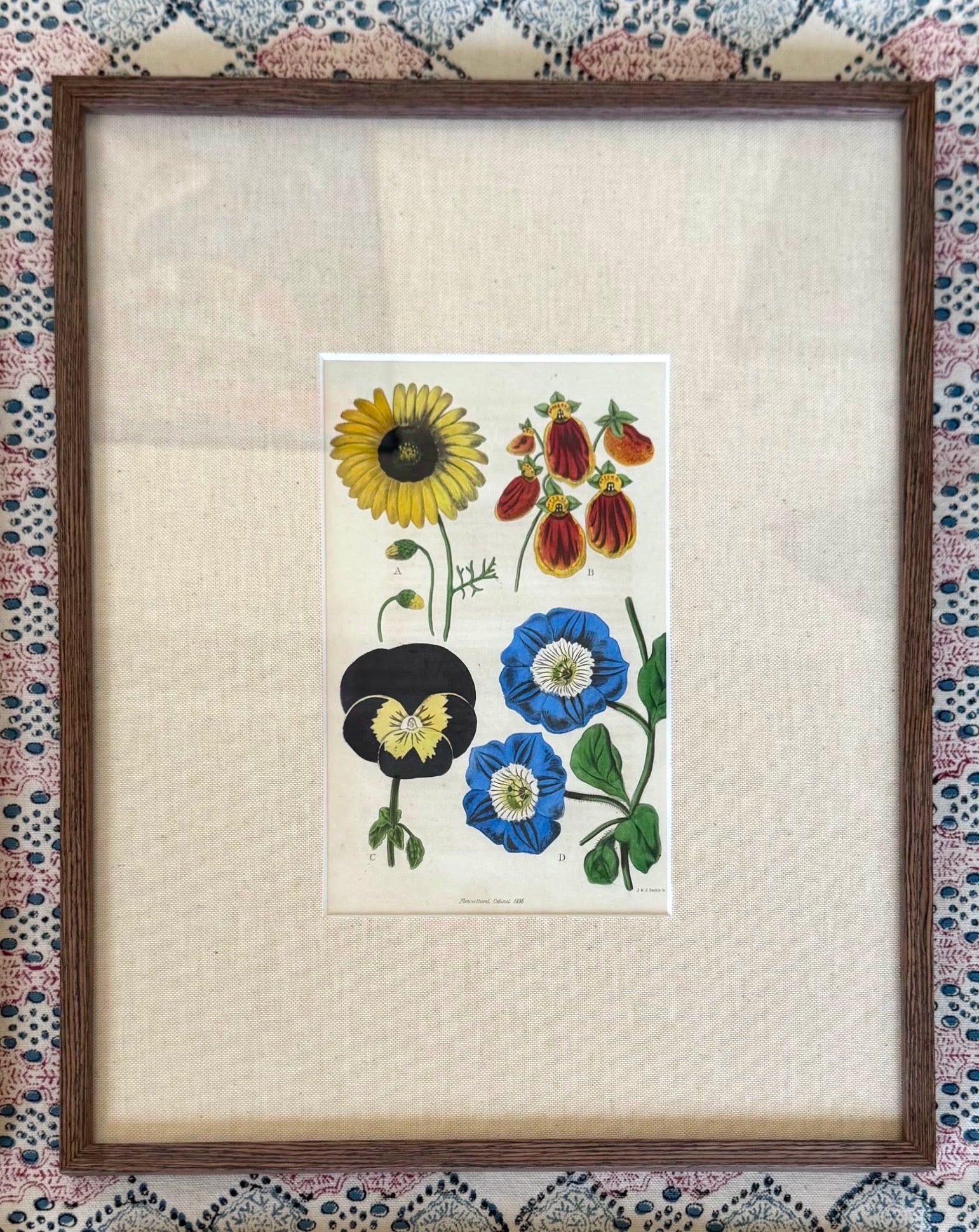 Floricultural Cabinet Prints
