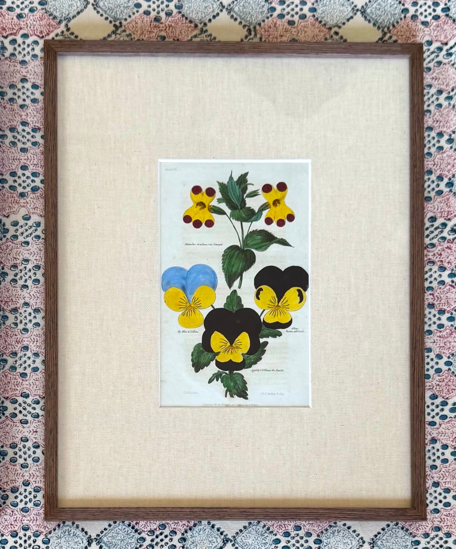 Floricultural Cabinet Prints