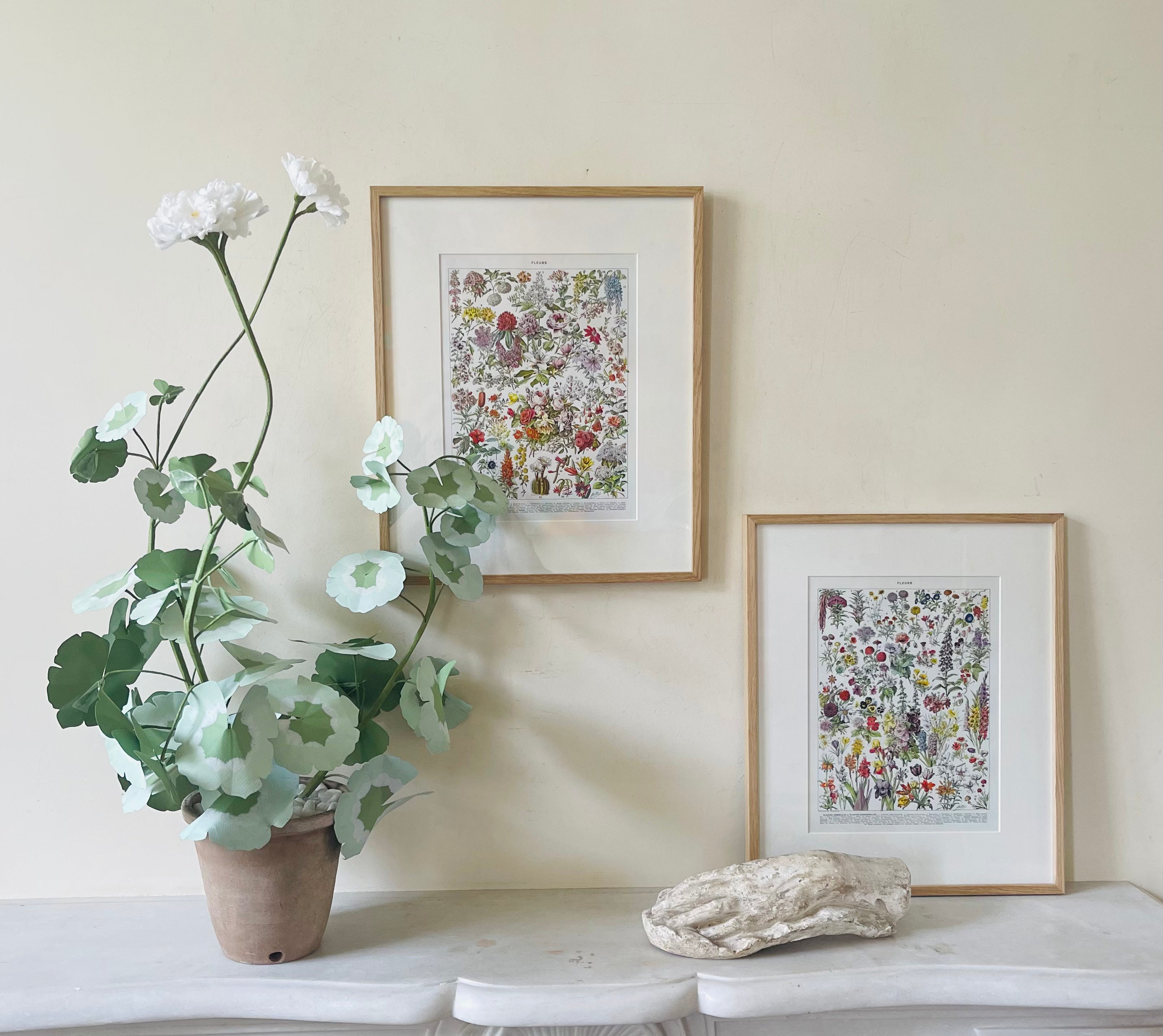 Fleurs Larousse; Roses