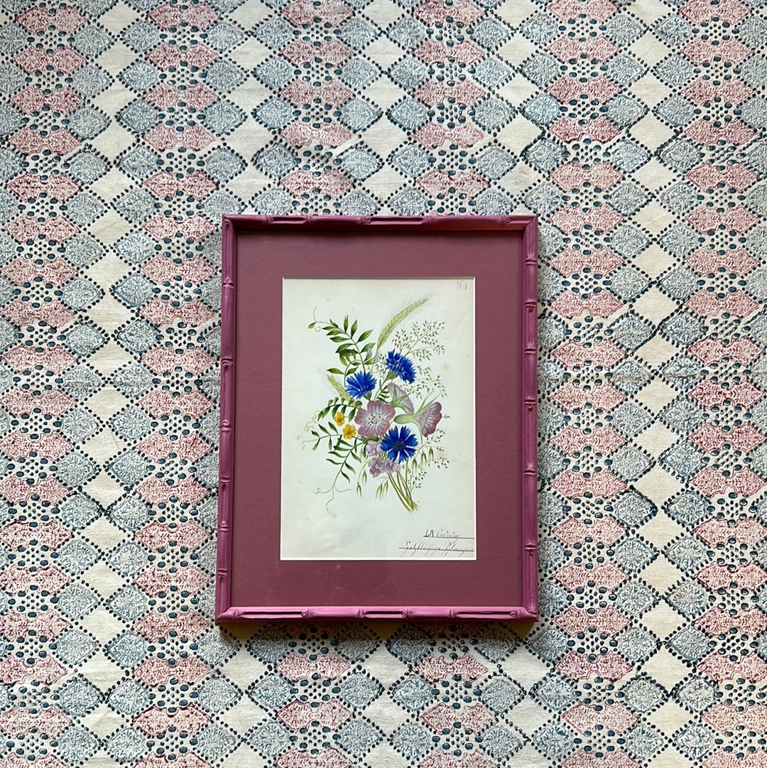 Nineteenth Century Floral Watercolours on Pink