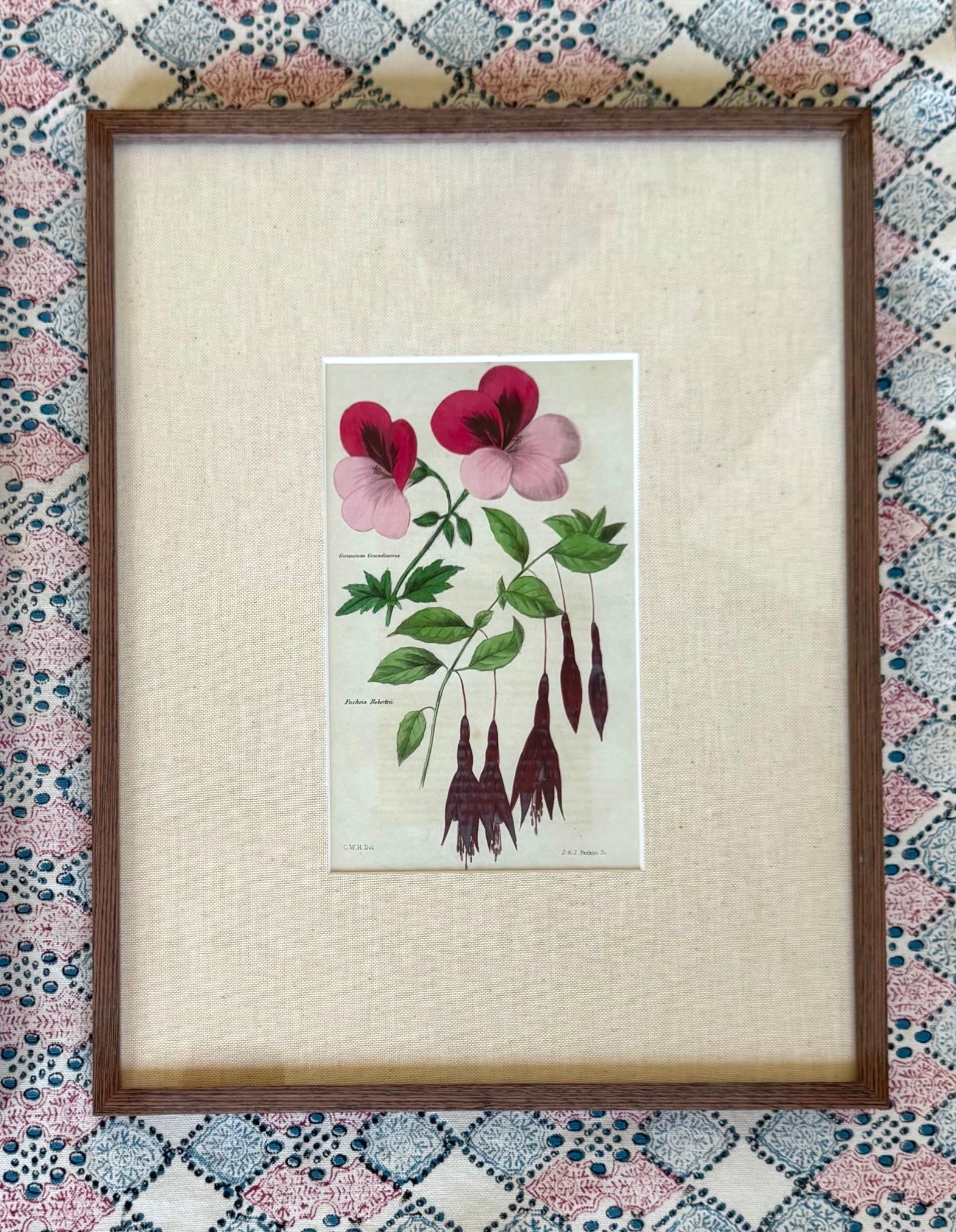 Floricultural Cabinet Prints