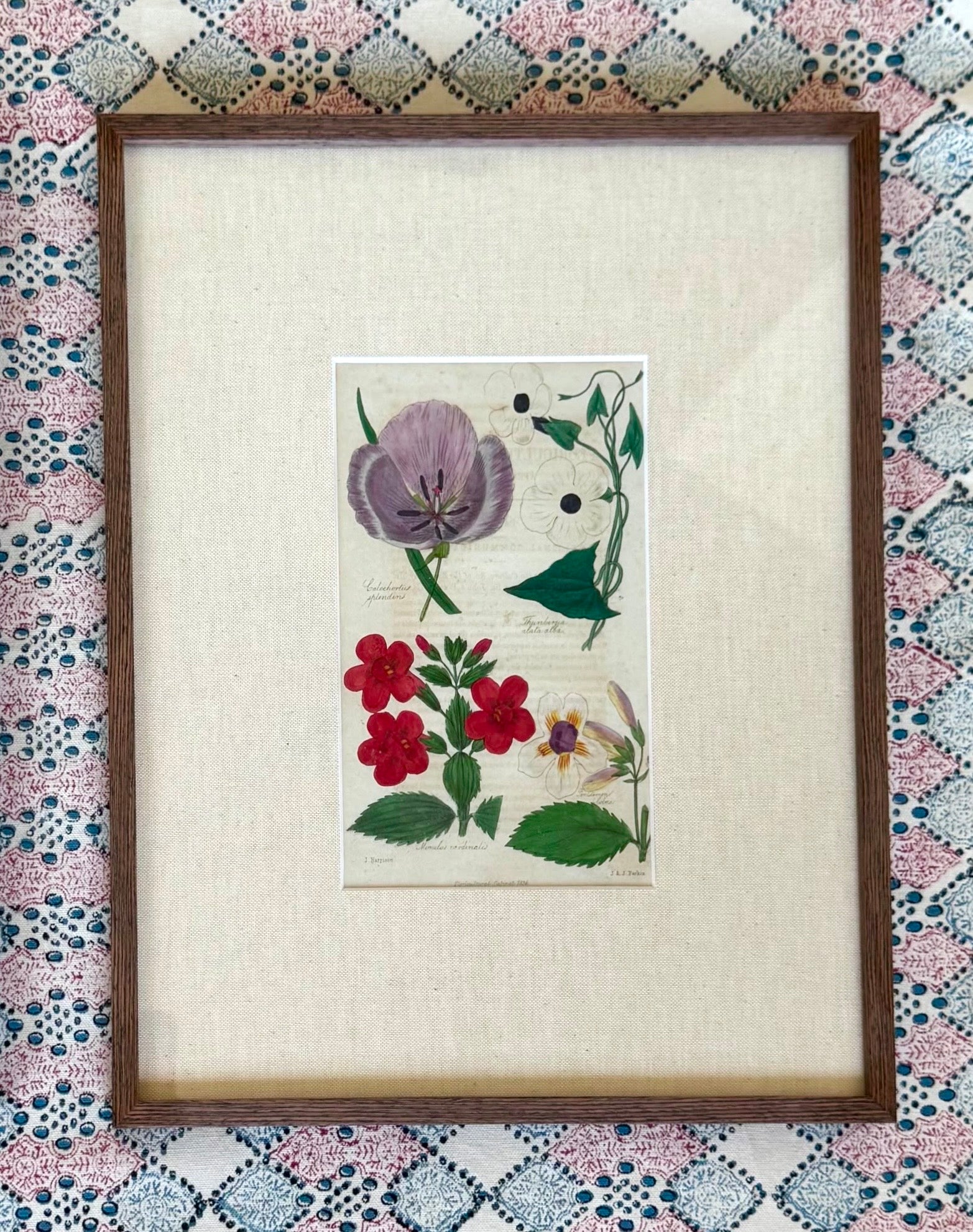 Floricultural Cabinet Prints