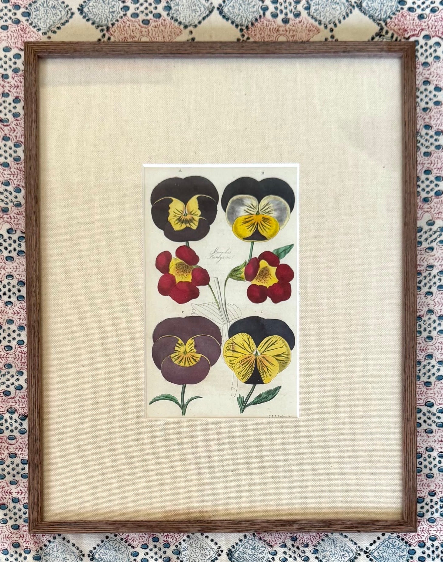 Floricultural Cabinet Prints
