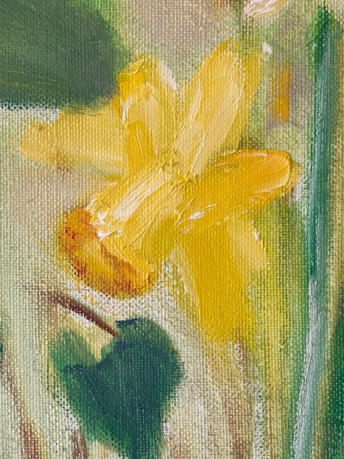Daffodils and Pears
