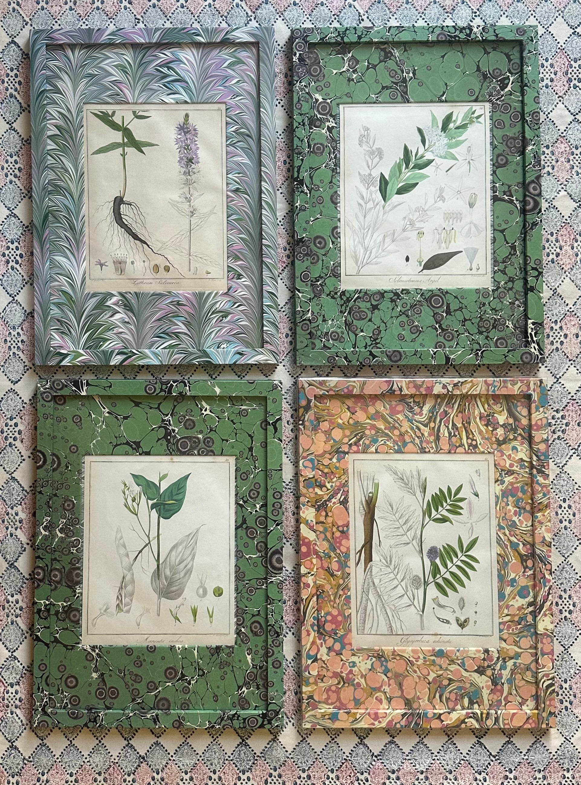 Marbled Botanical