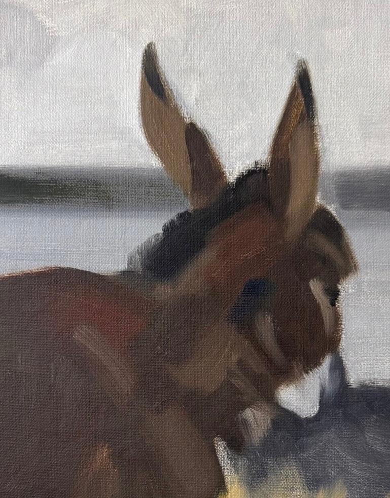 Two Donkeys