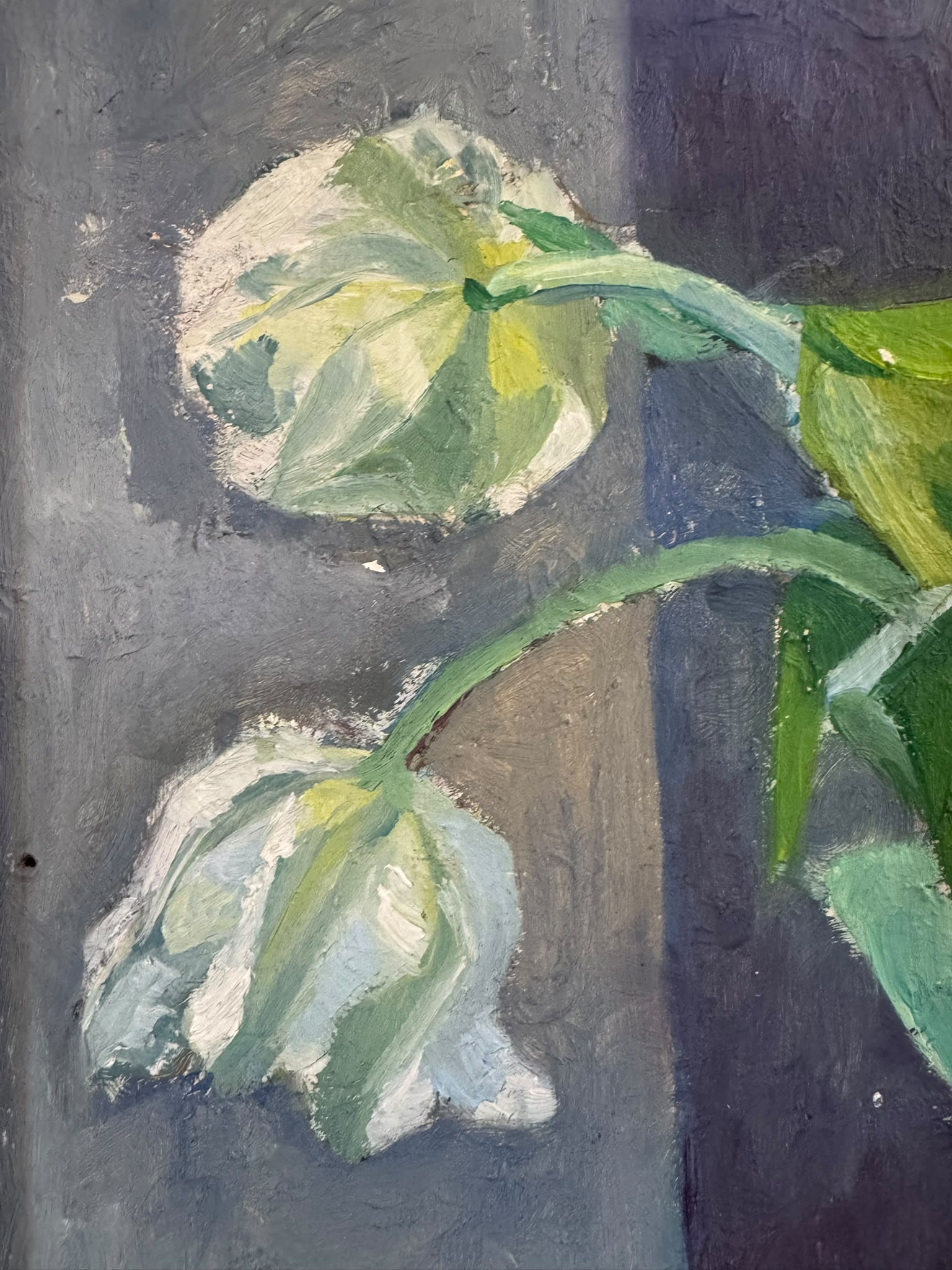 Tulips in an Antique Jug