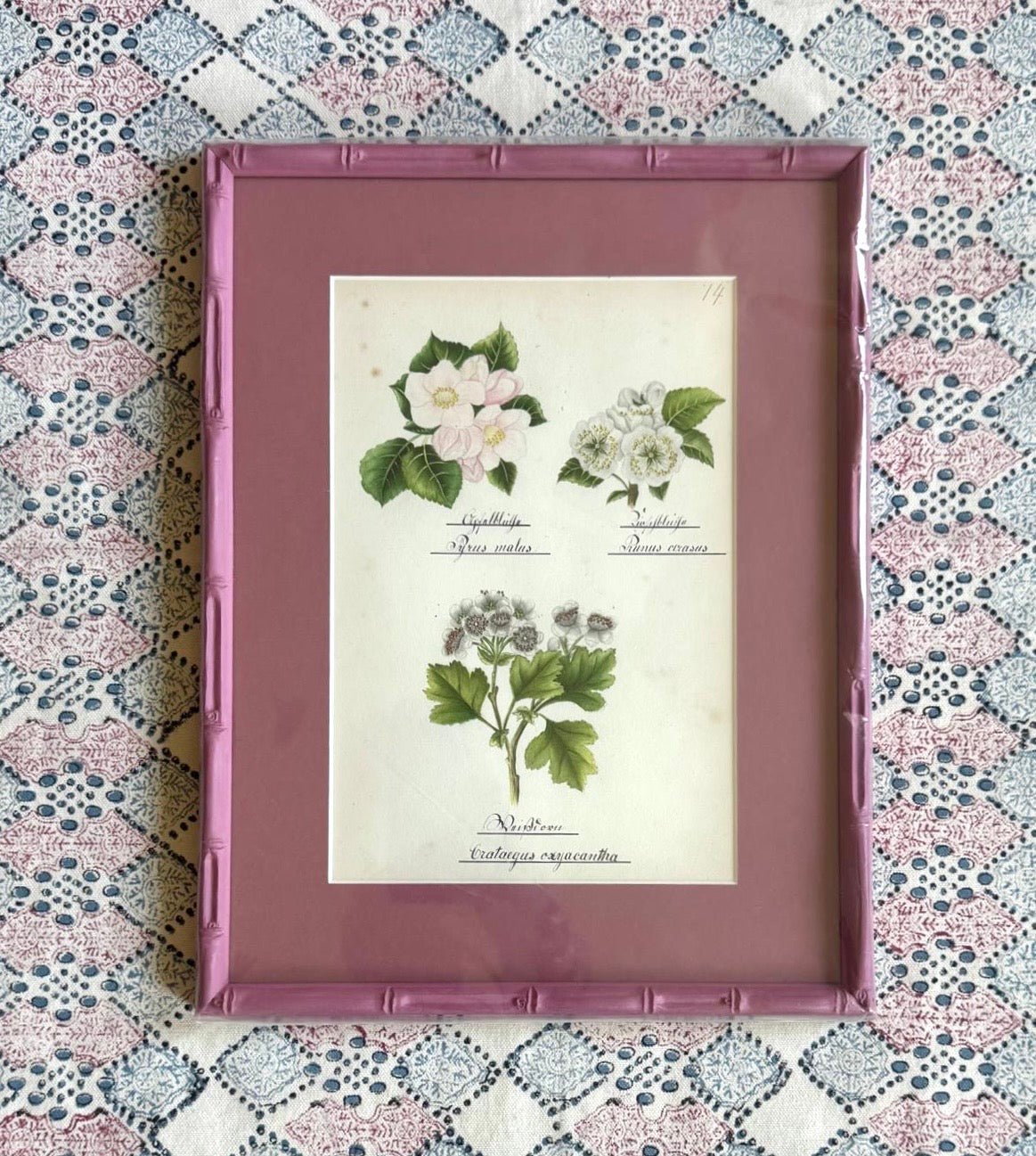 Nineteenth Century Floral Watercolour on Pink