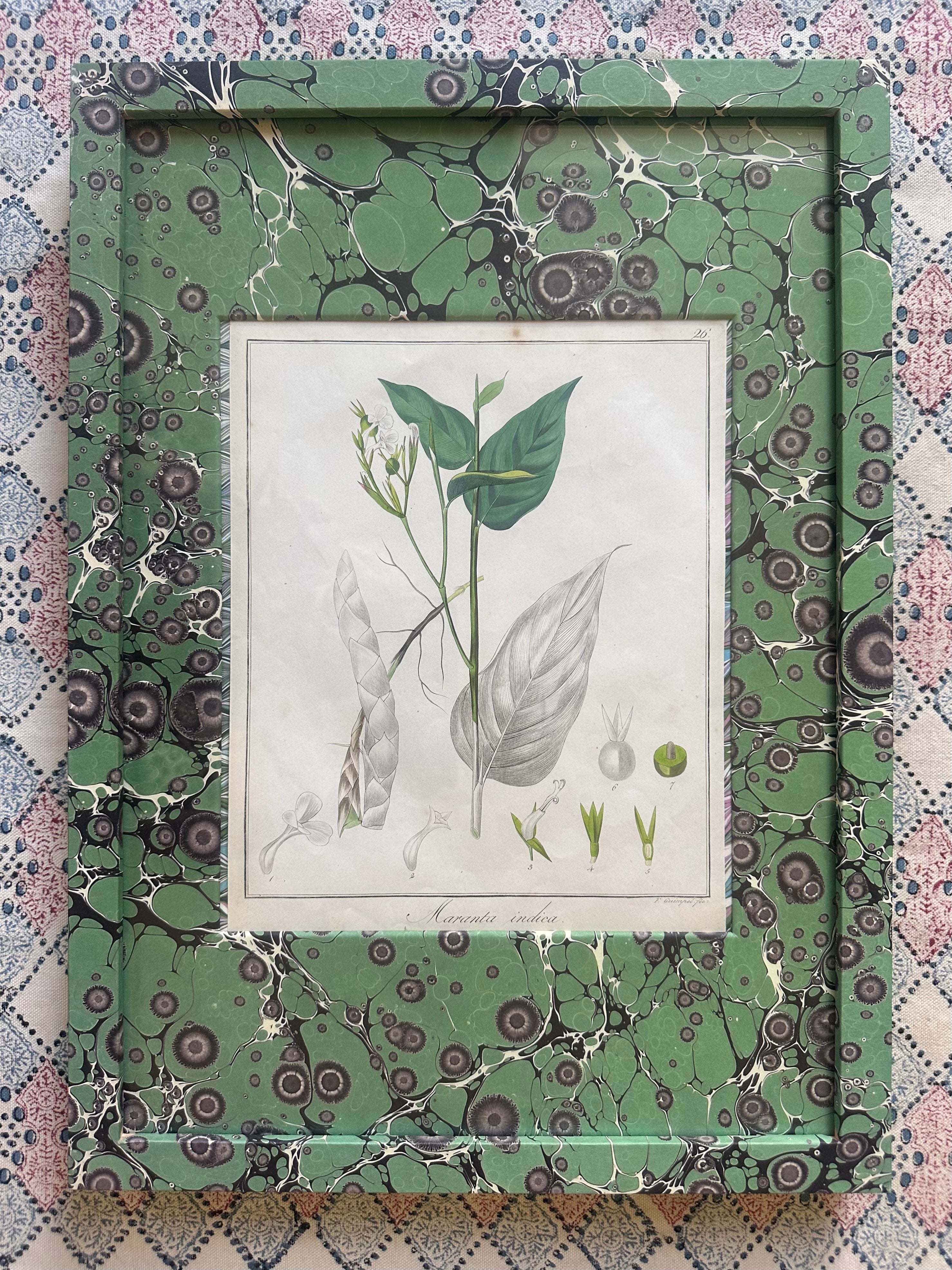 Marbled Botanical