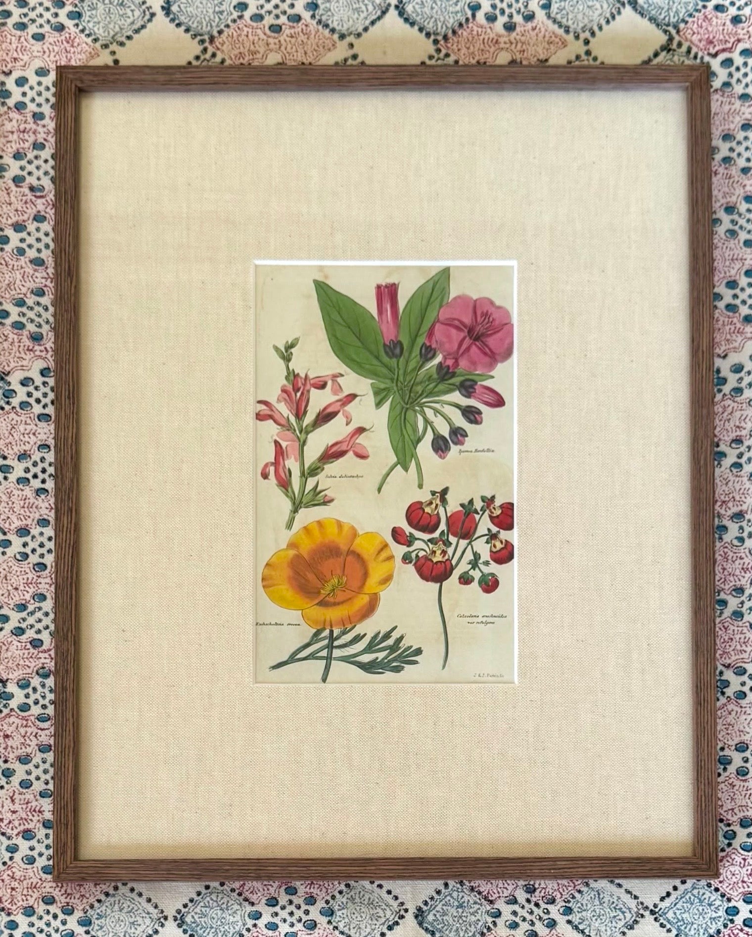 Floricultural Cabinet Prints