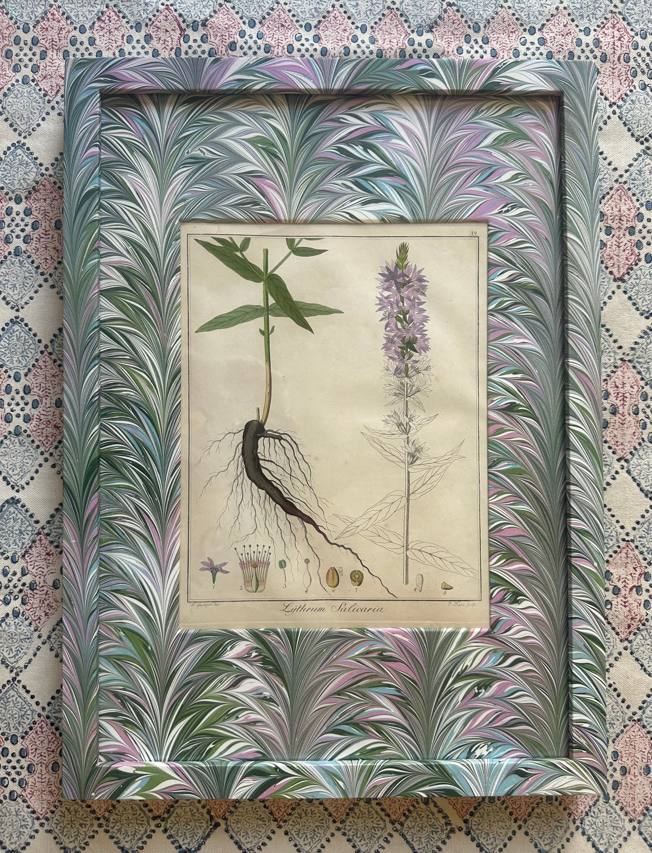Marbled Botanical