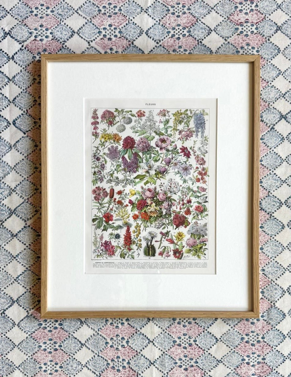 Fleurs Larousse; Roses