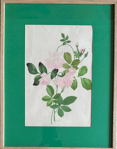 1930s French Floral Watercolours