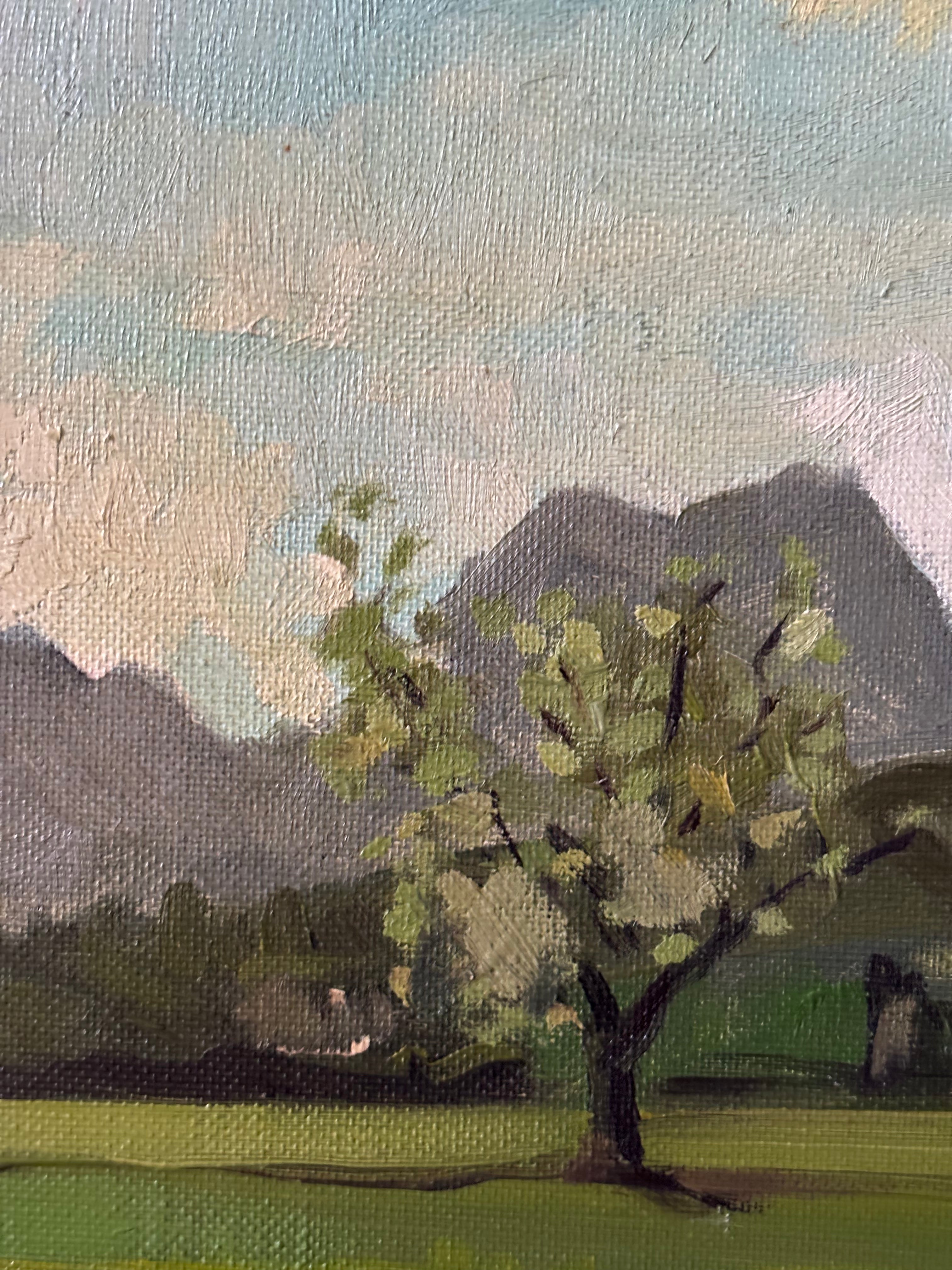 Trees in the Pasture