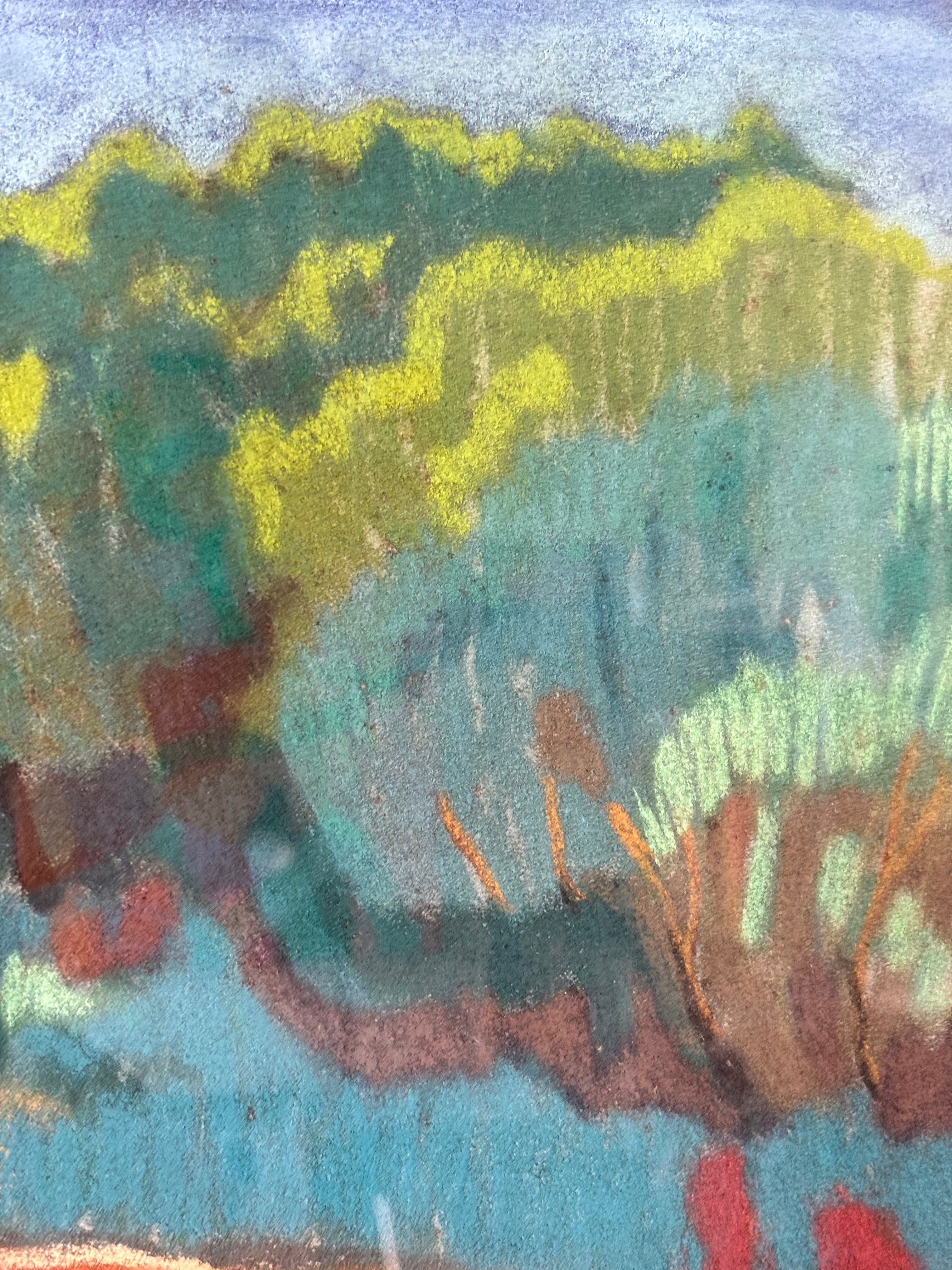 Clouds and Forest