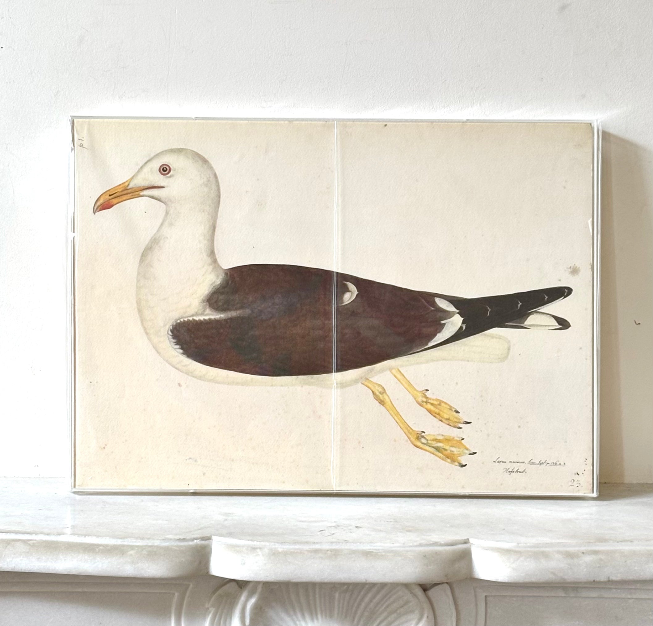 Swedish Bird Prints