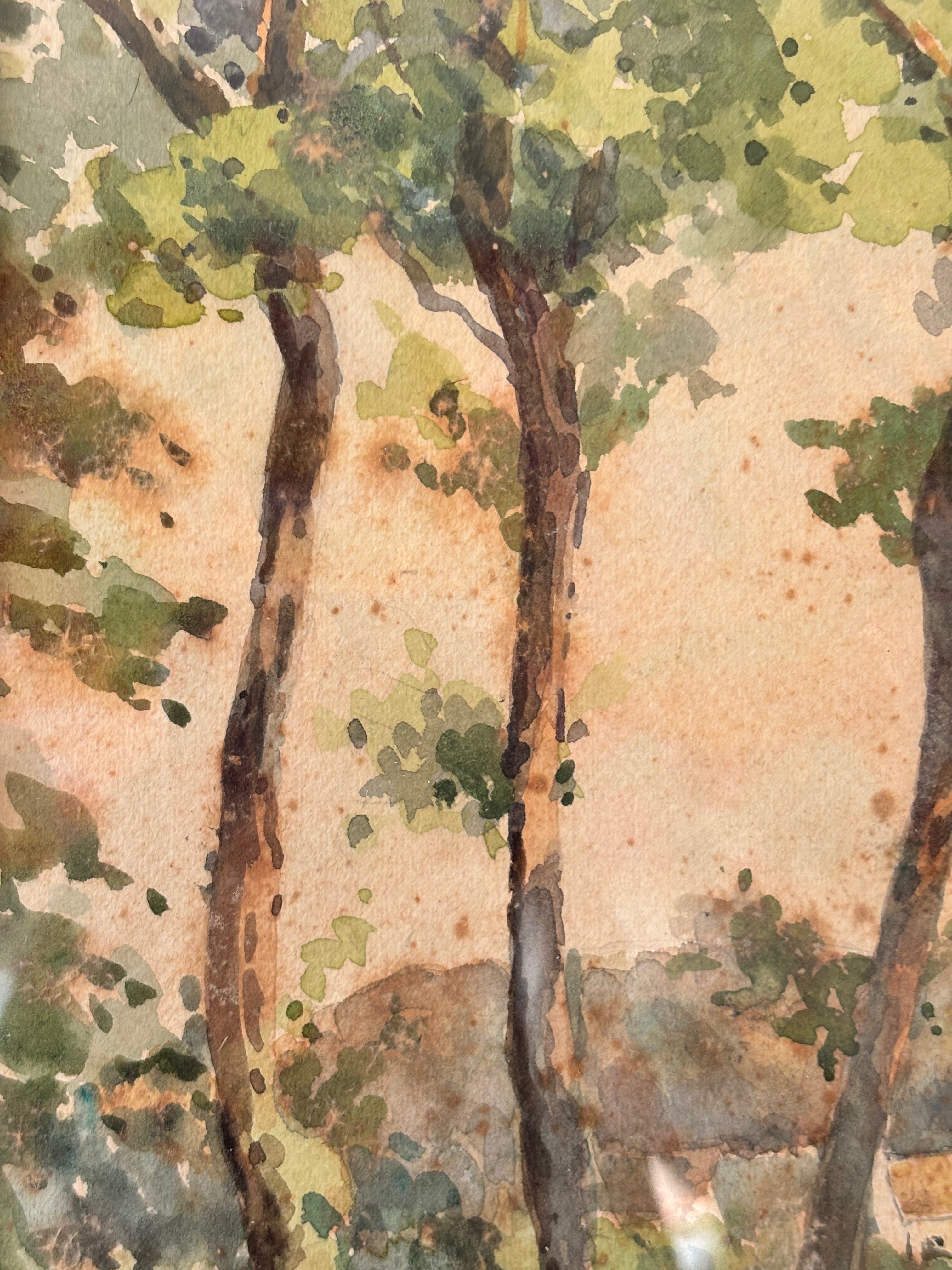 Watercolour Trees