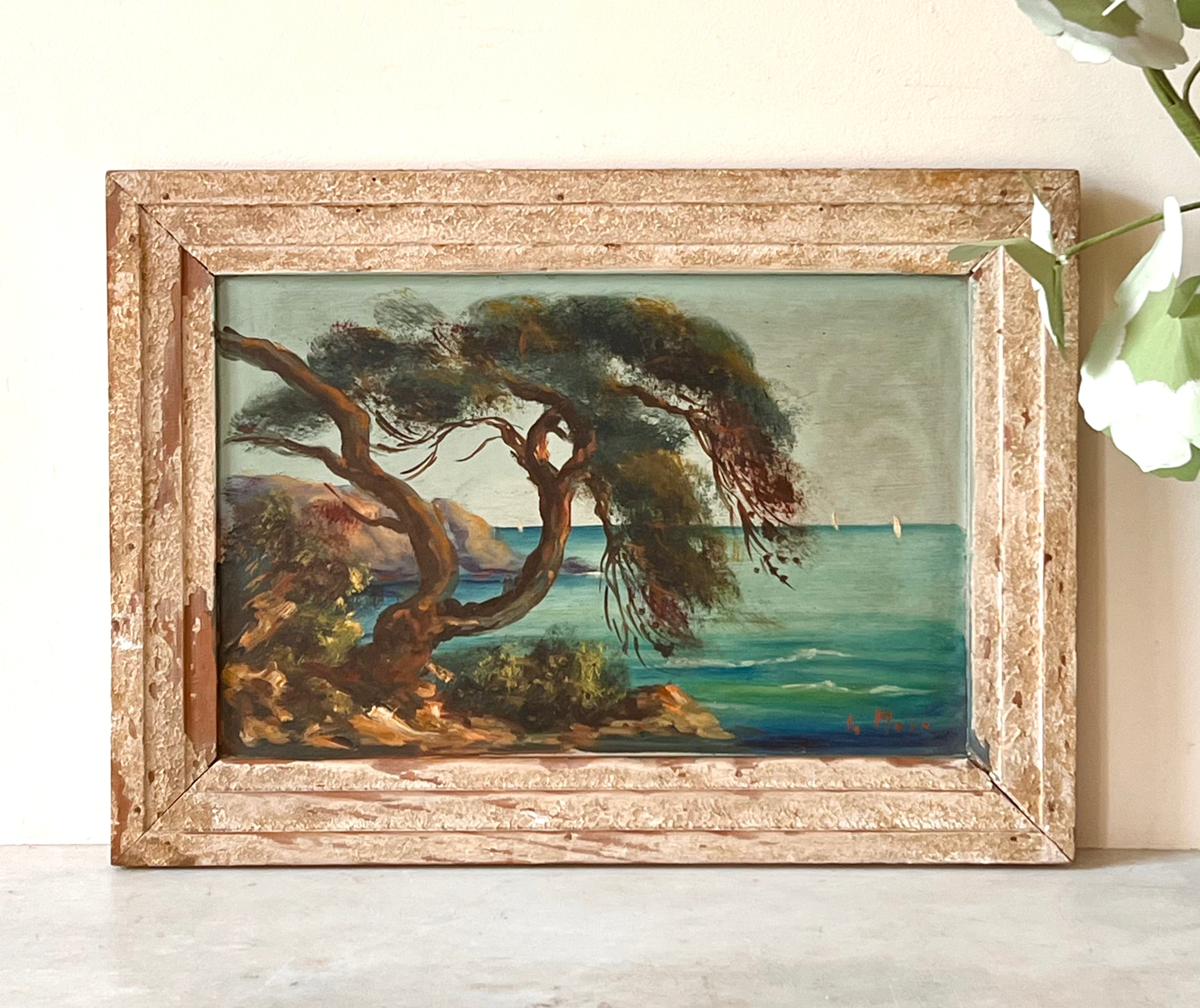 Tree in the Mediterranean