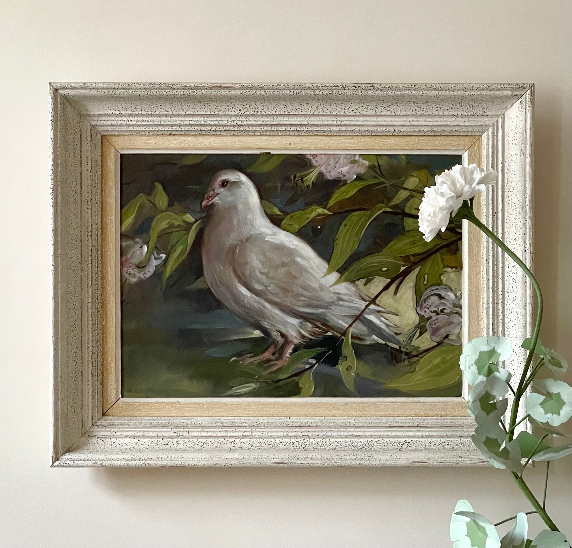White Dove