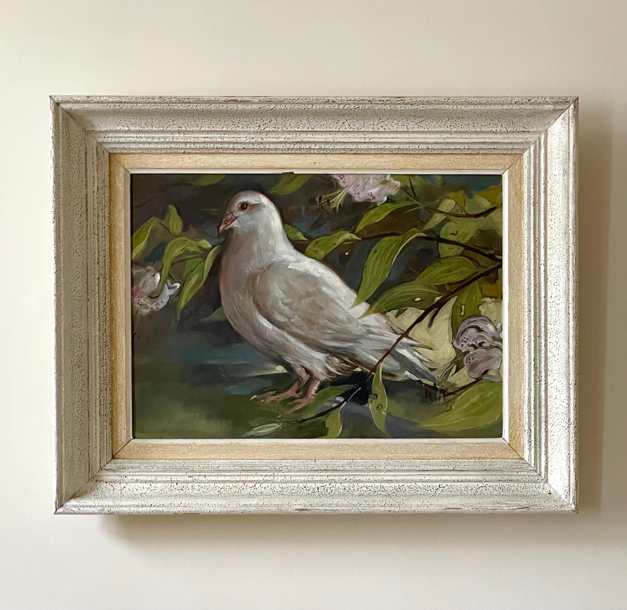 White Dove