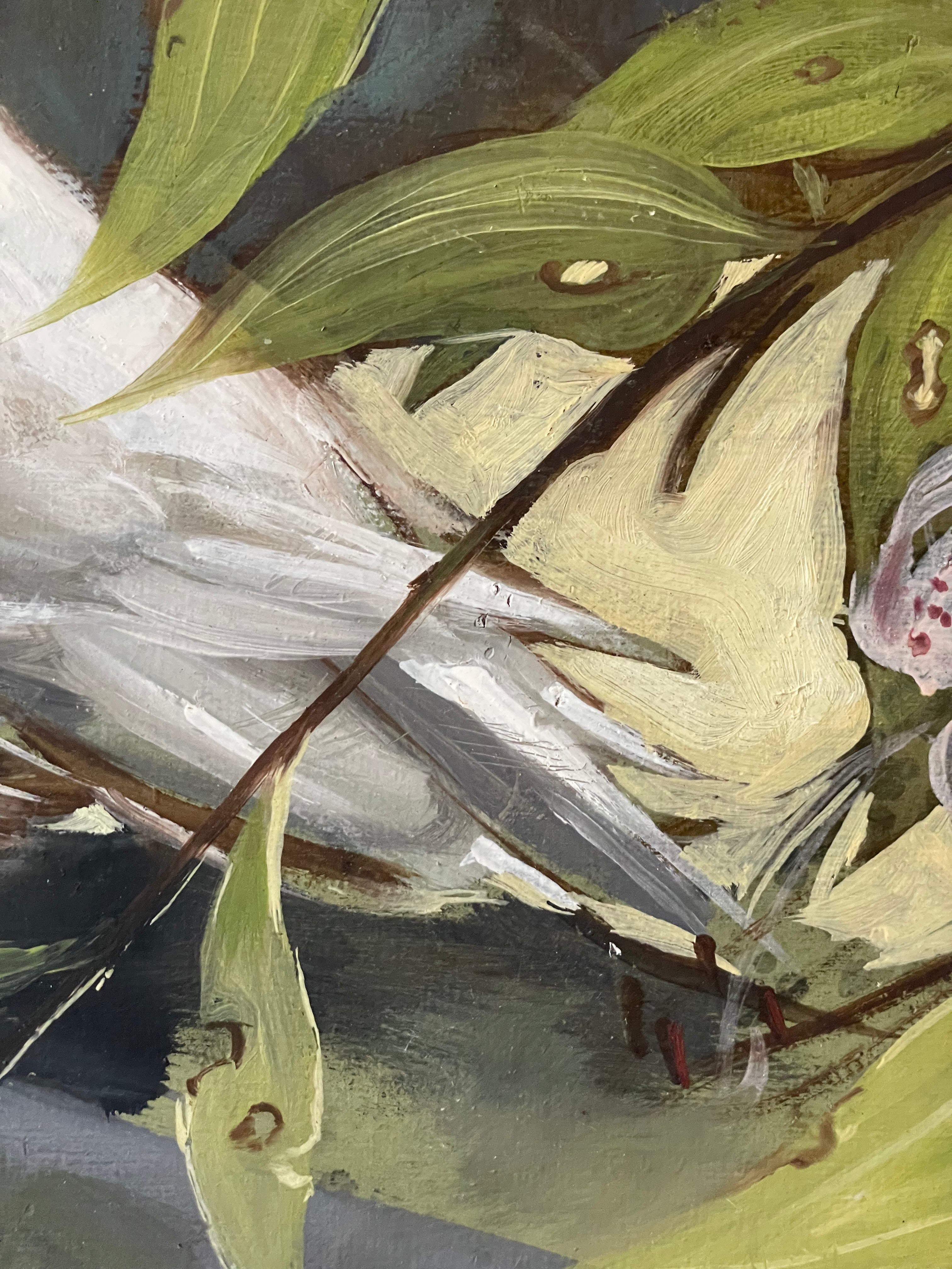 White Dove