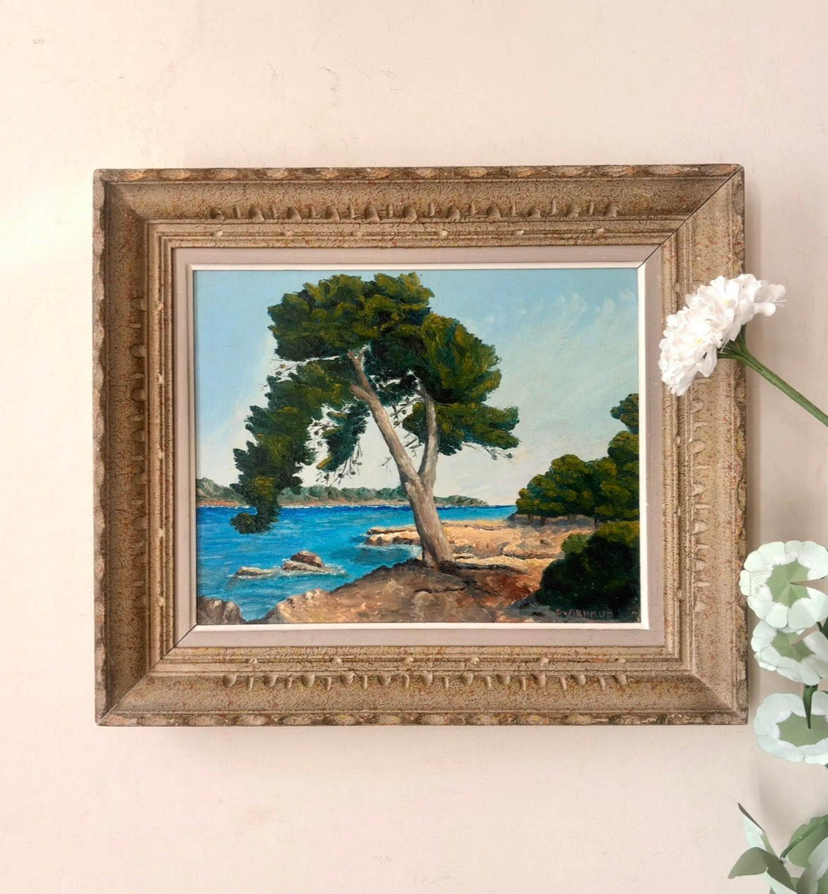 Tree in the Mediterranean