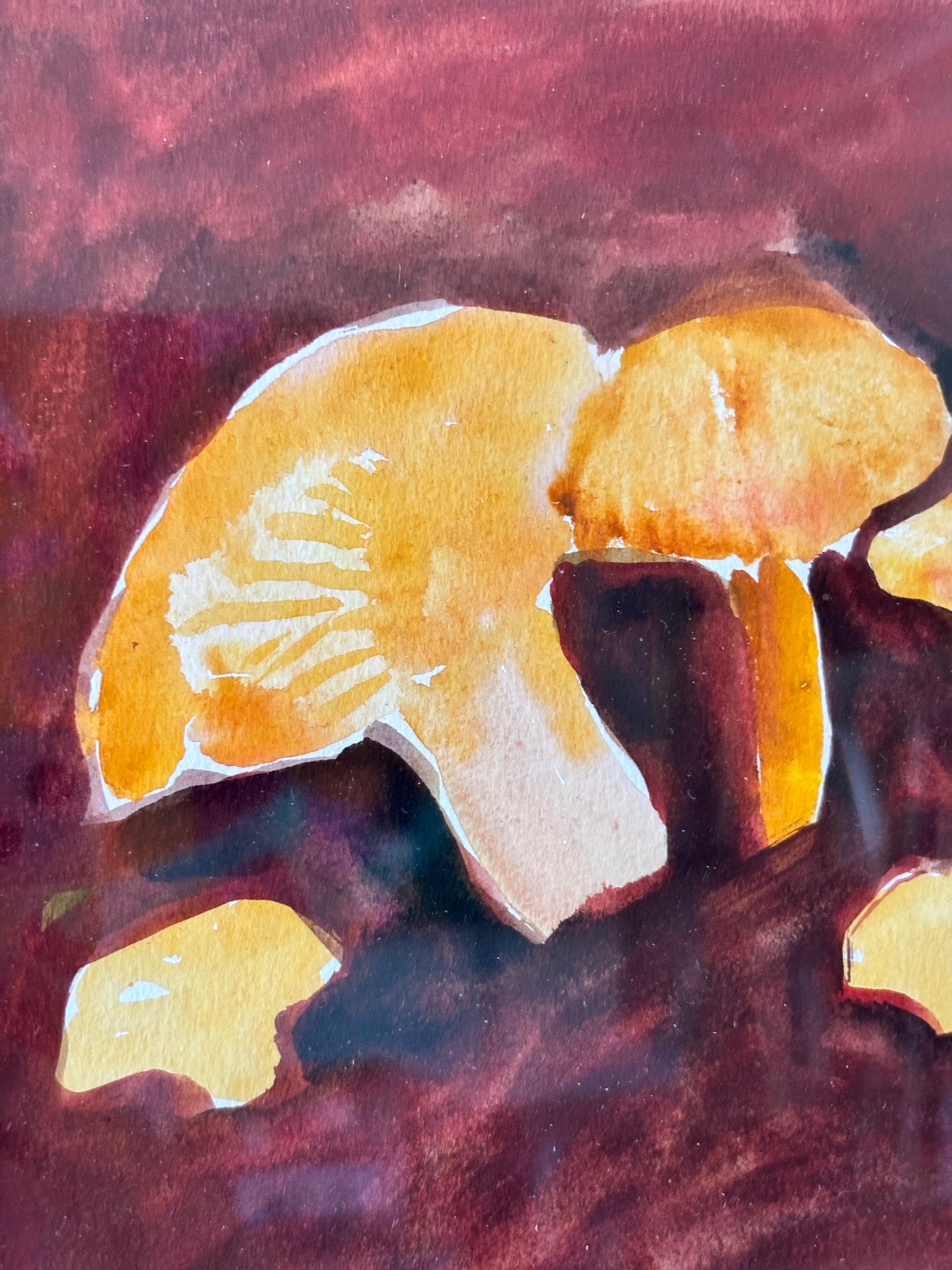 Watercolour Mushrooms