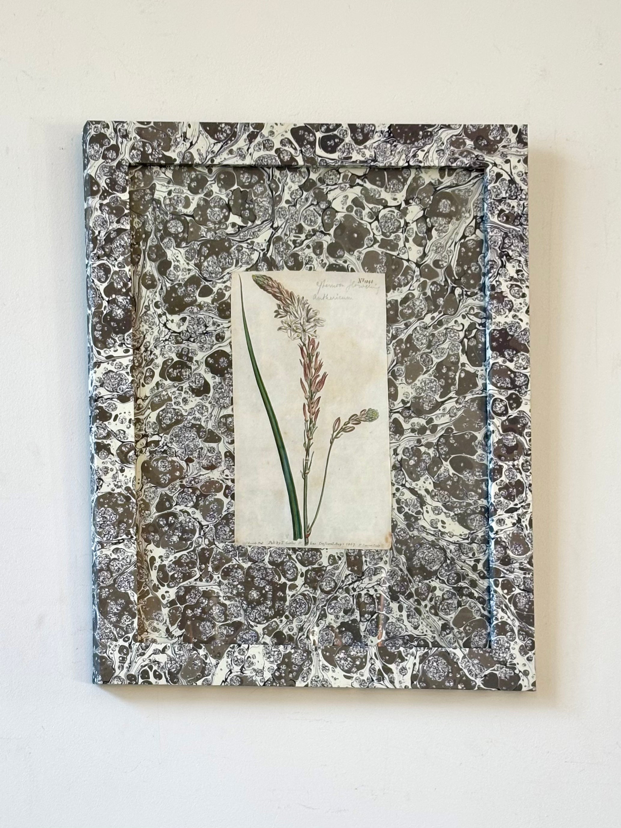 1807 Marbled Botanicals