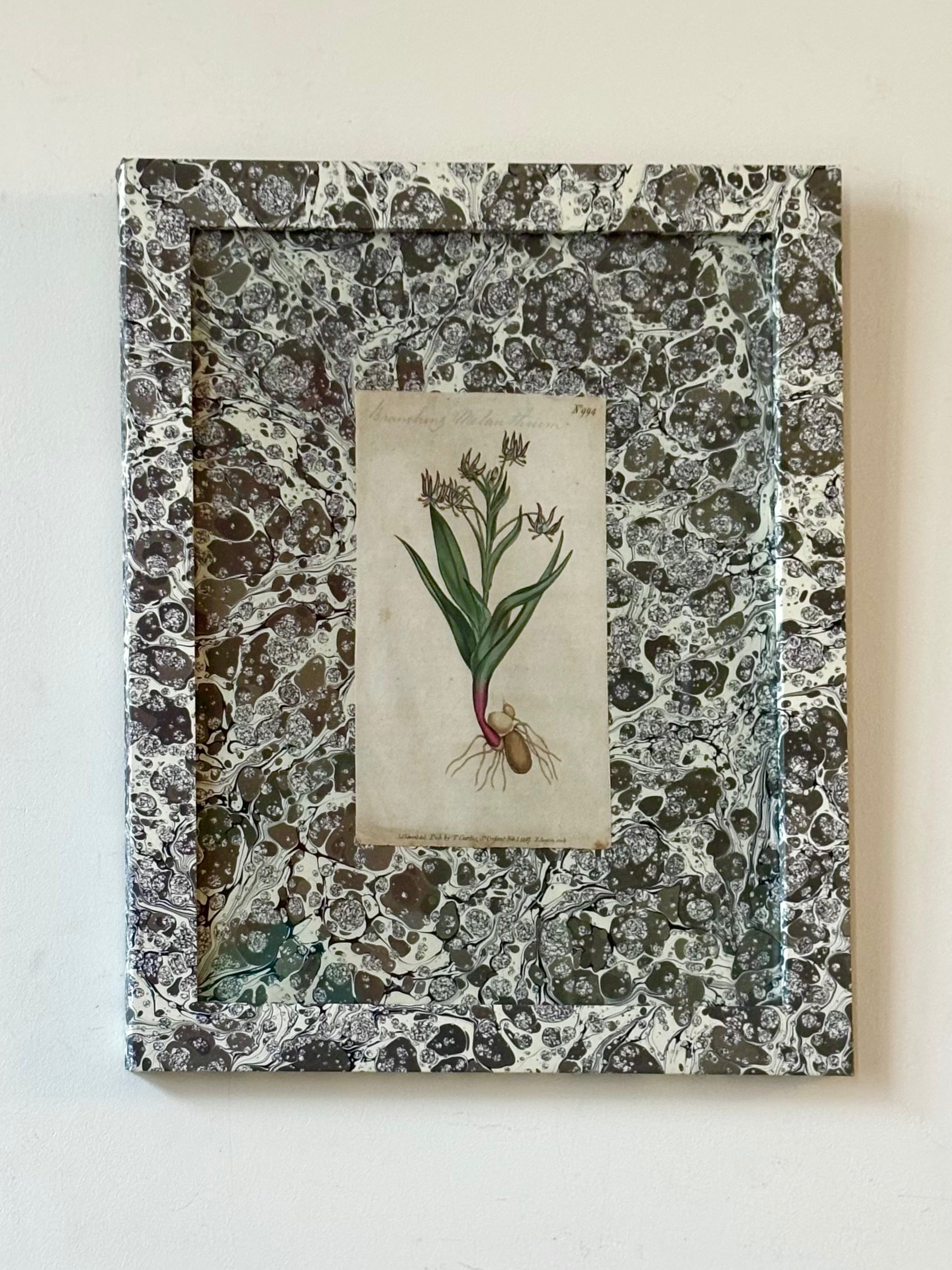 1807 Marbled Botanicals