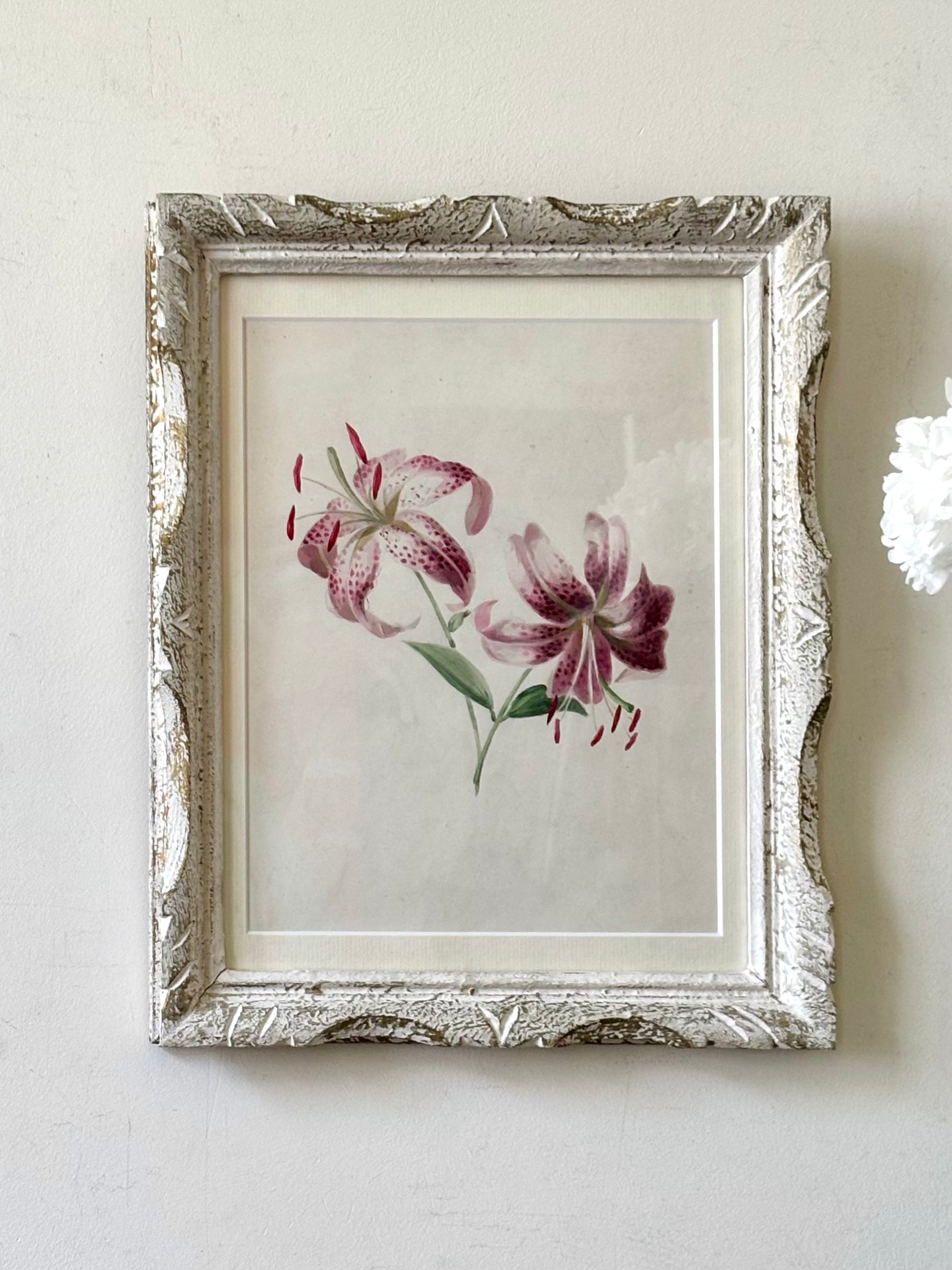 Tiger Lilies