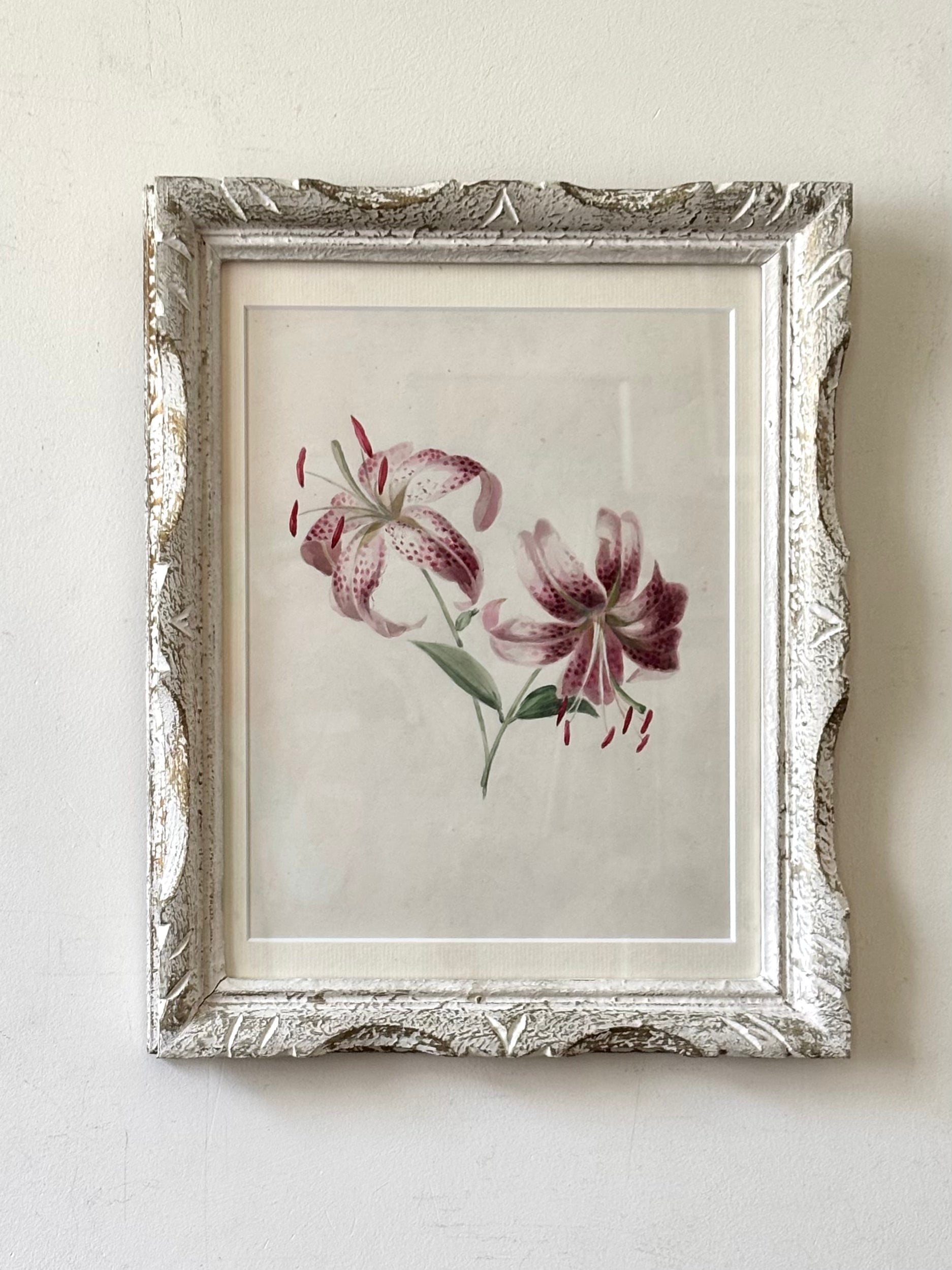 Tiger Lilies