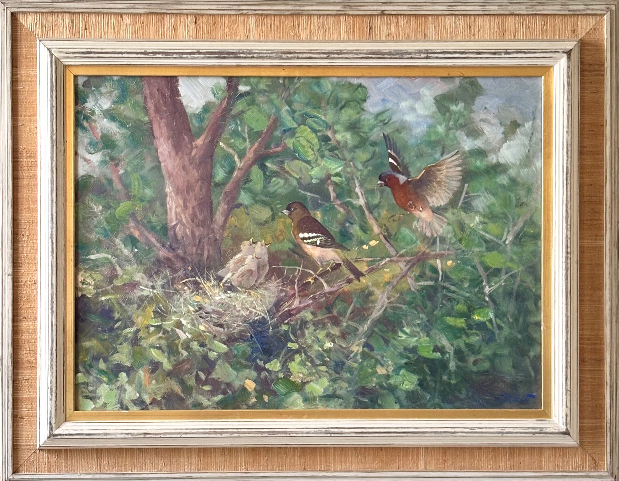 Finches in the Nest