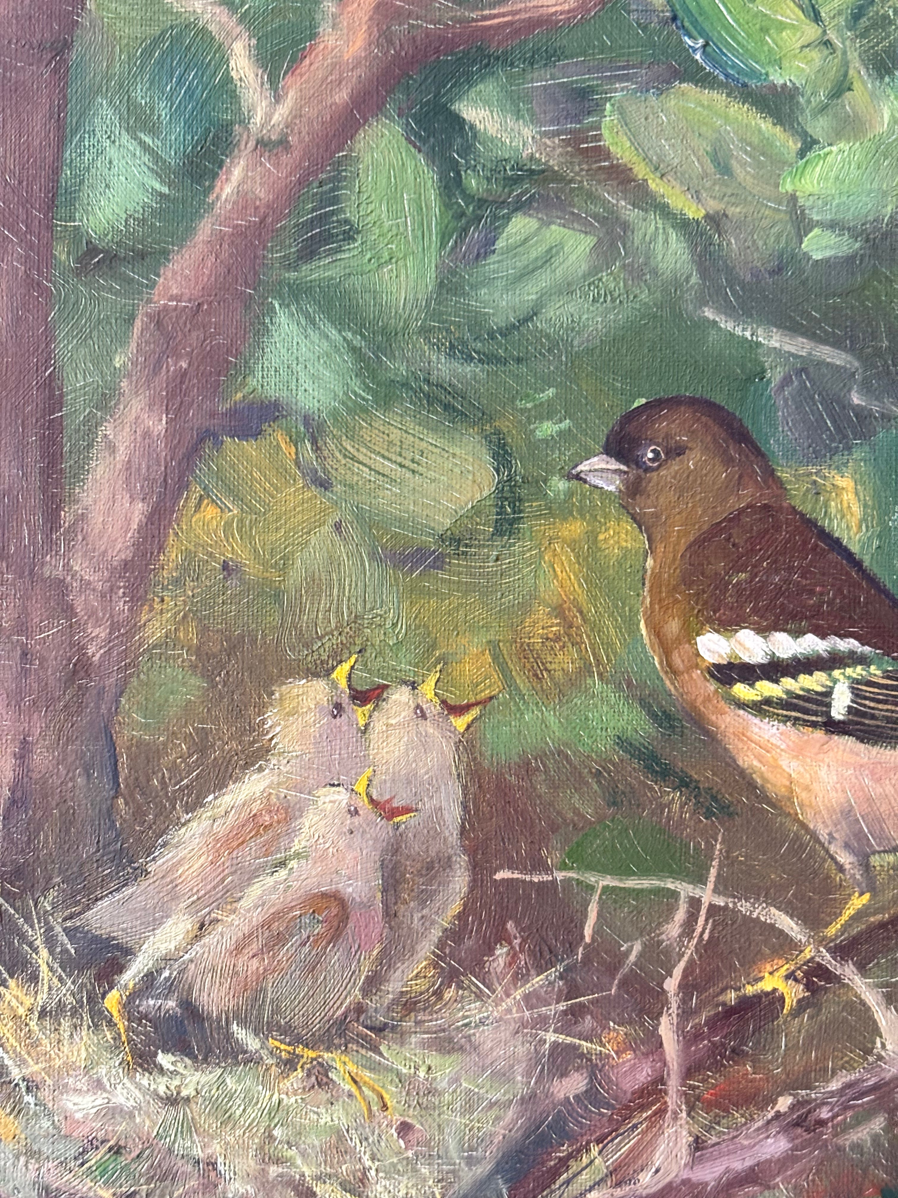 Finches in the Nest