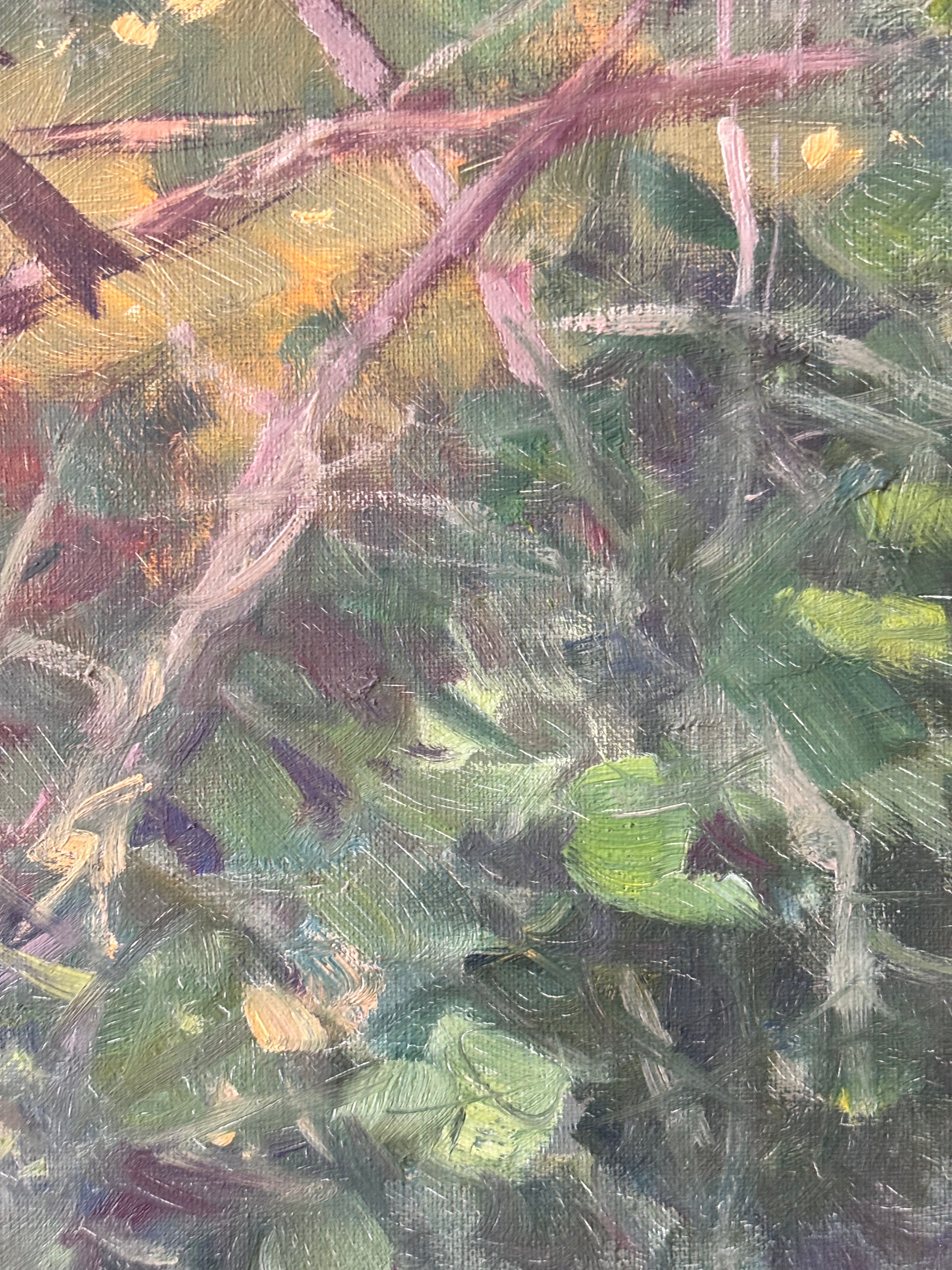 Finches in the Nest