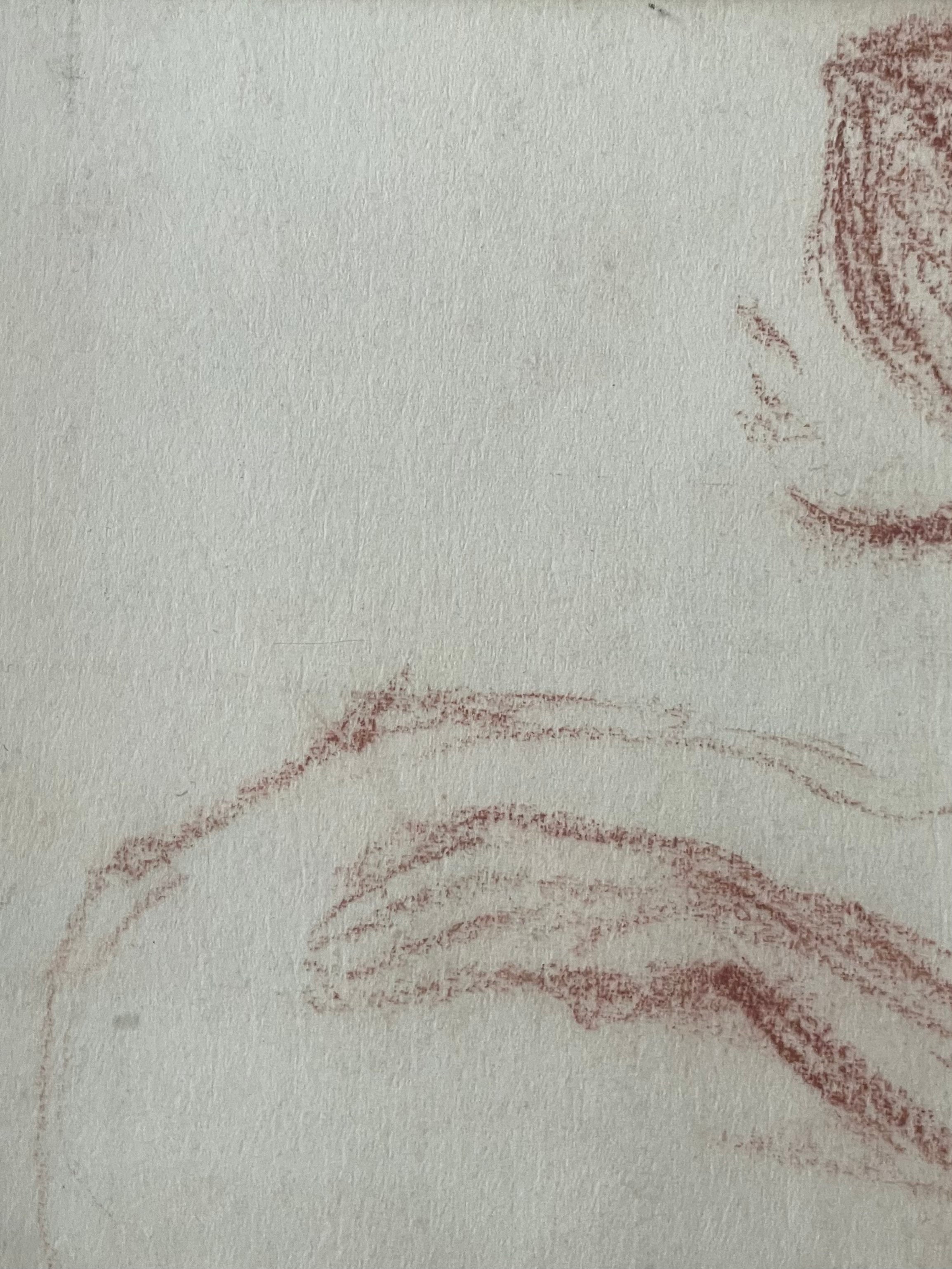 Sanguine Reclining Nude