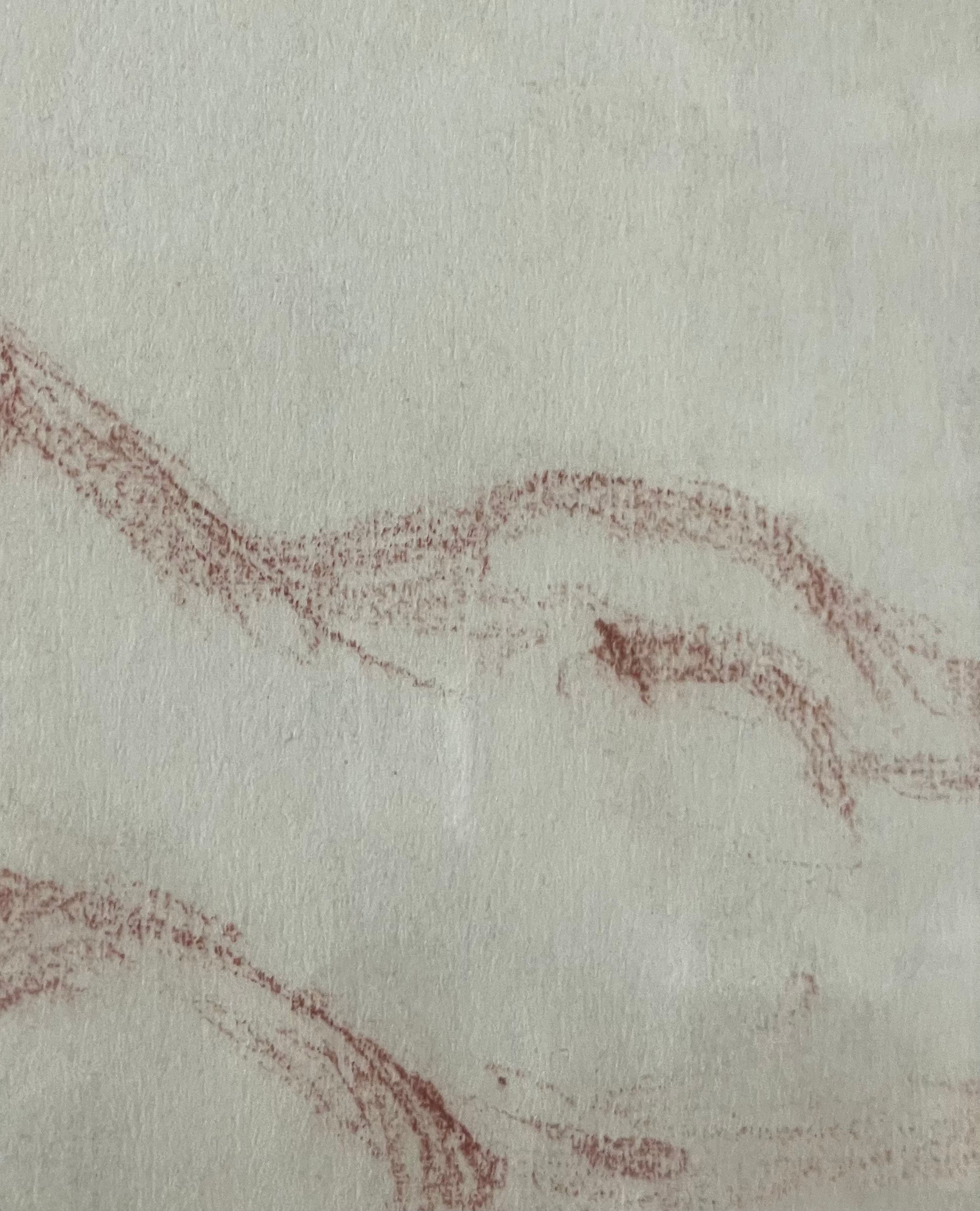 Sanguine Reclining Nude