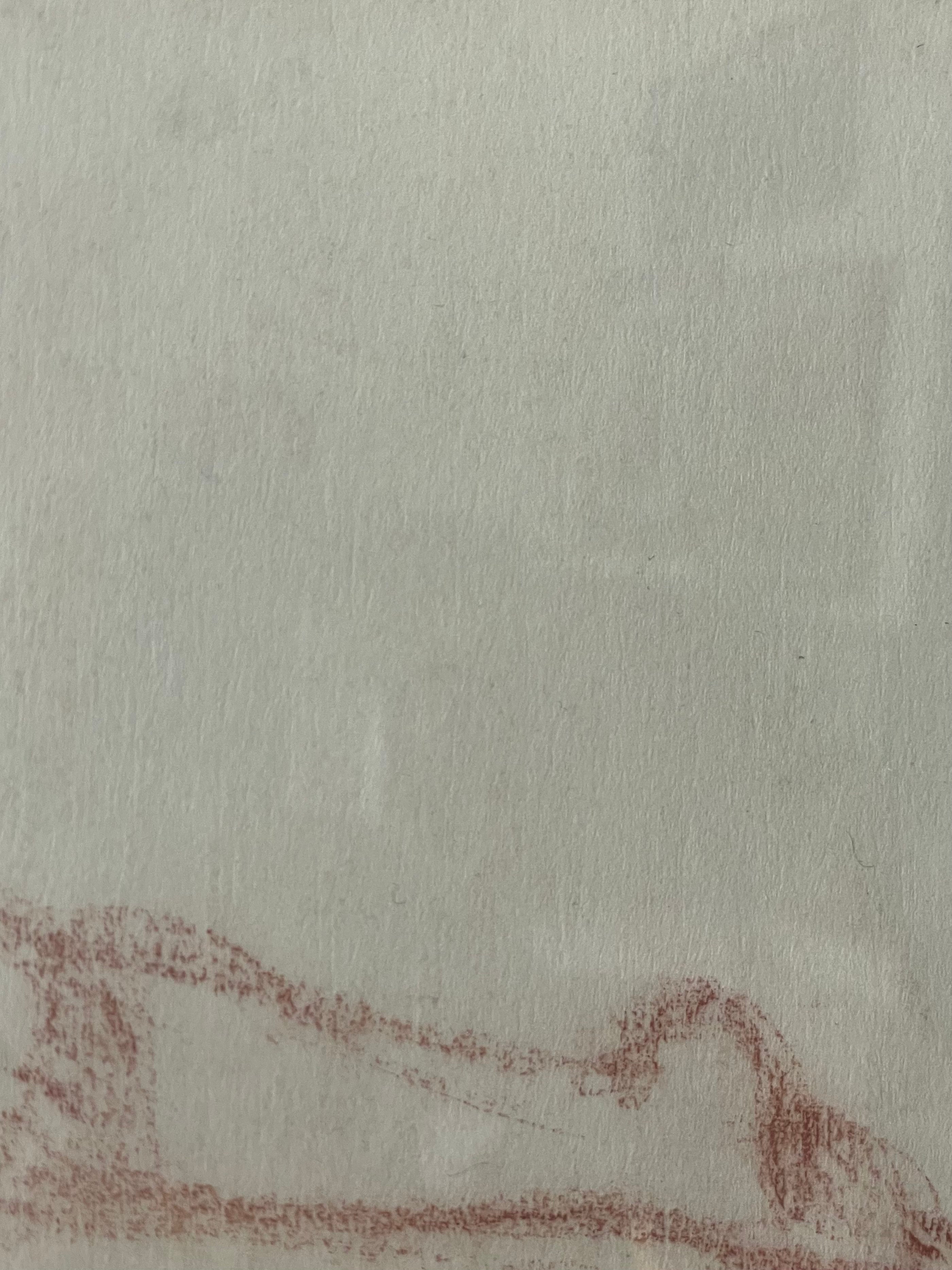 Sanguine Reclining Nude