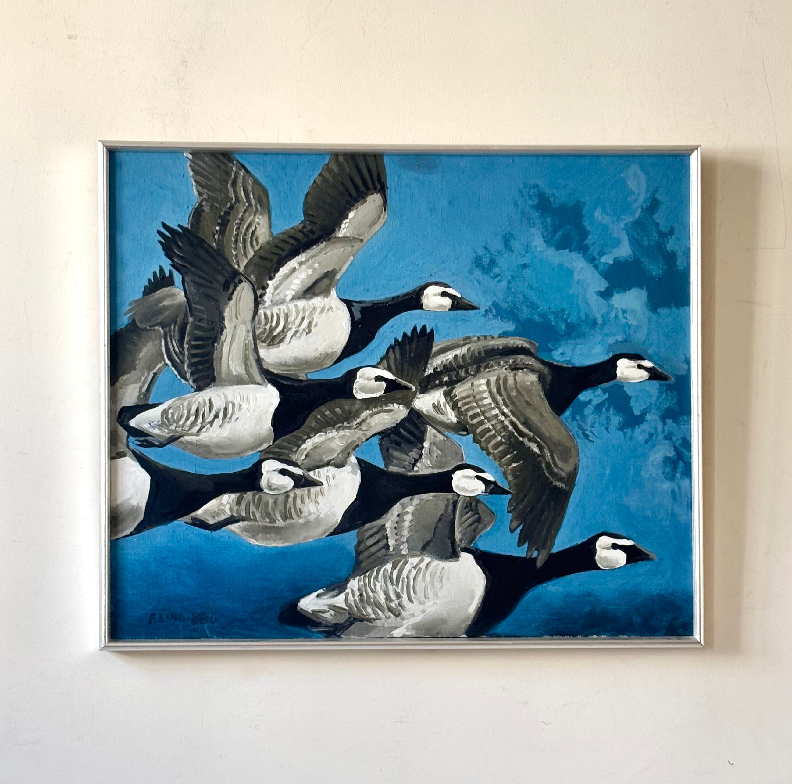 Canada Geese