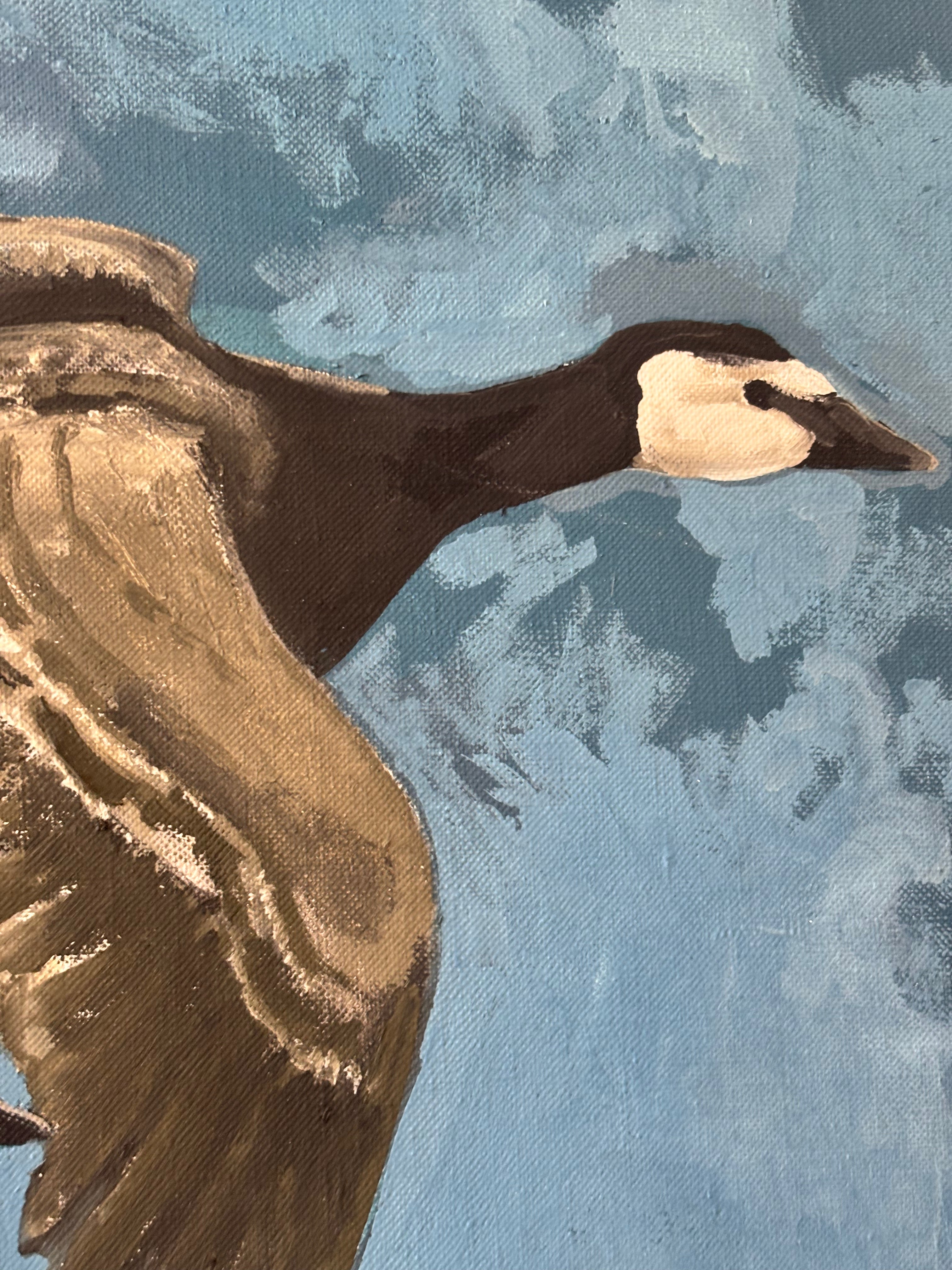 Canada Geese