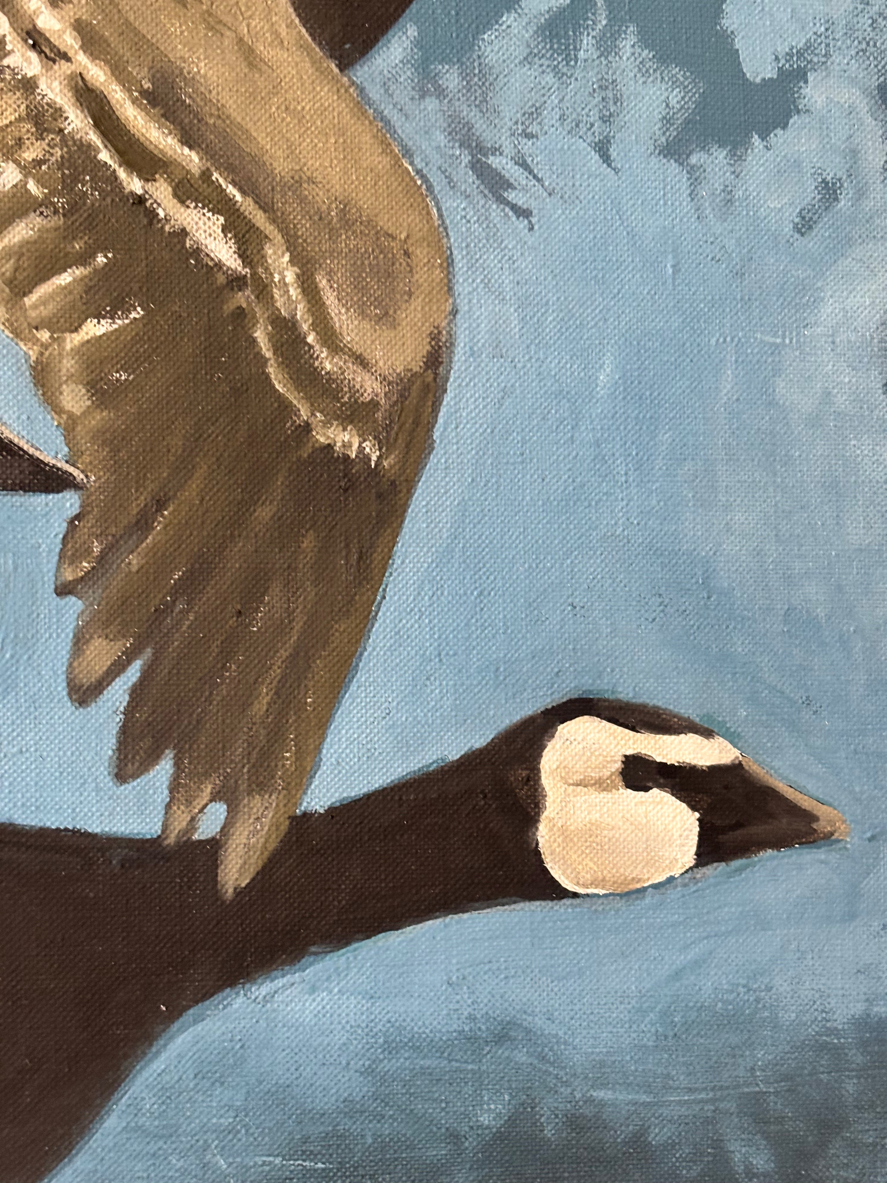 Canada Geese