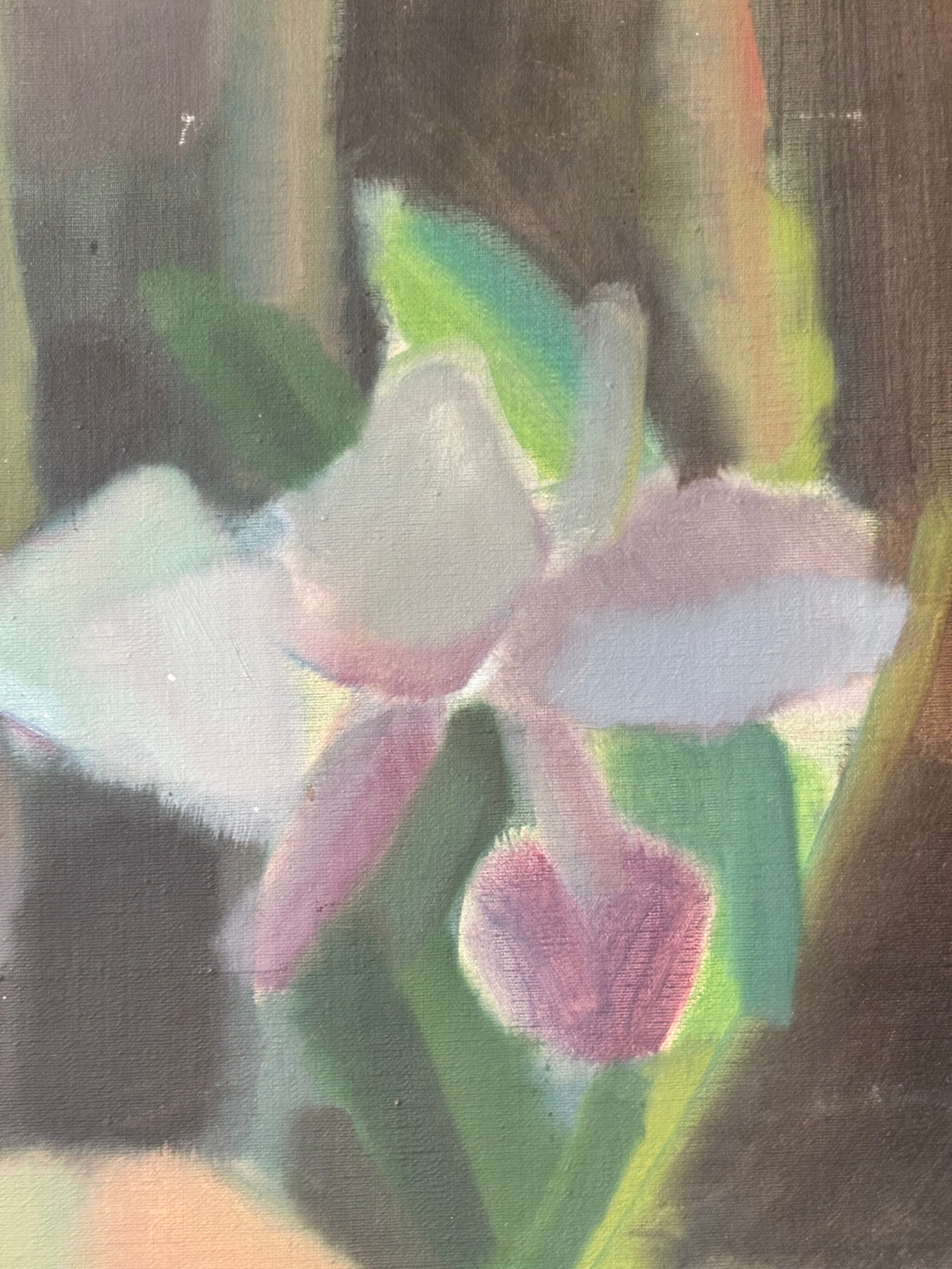 Purple Iris