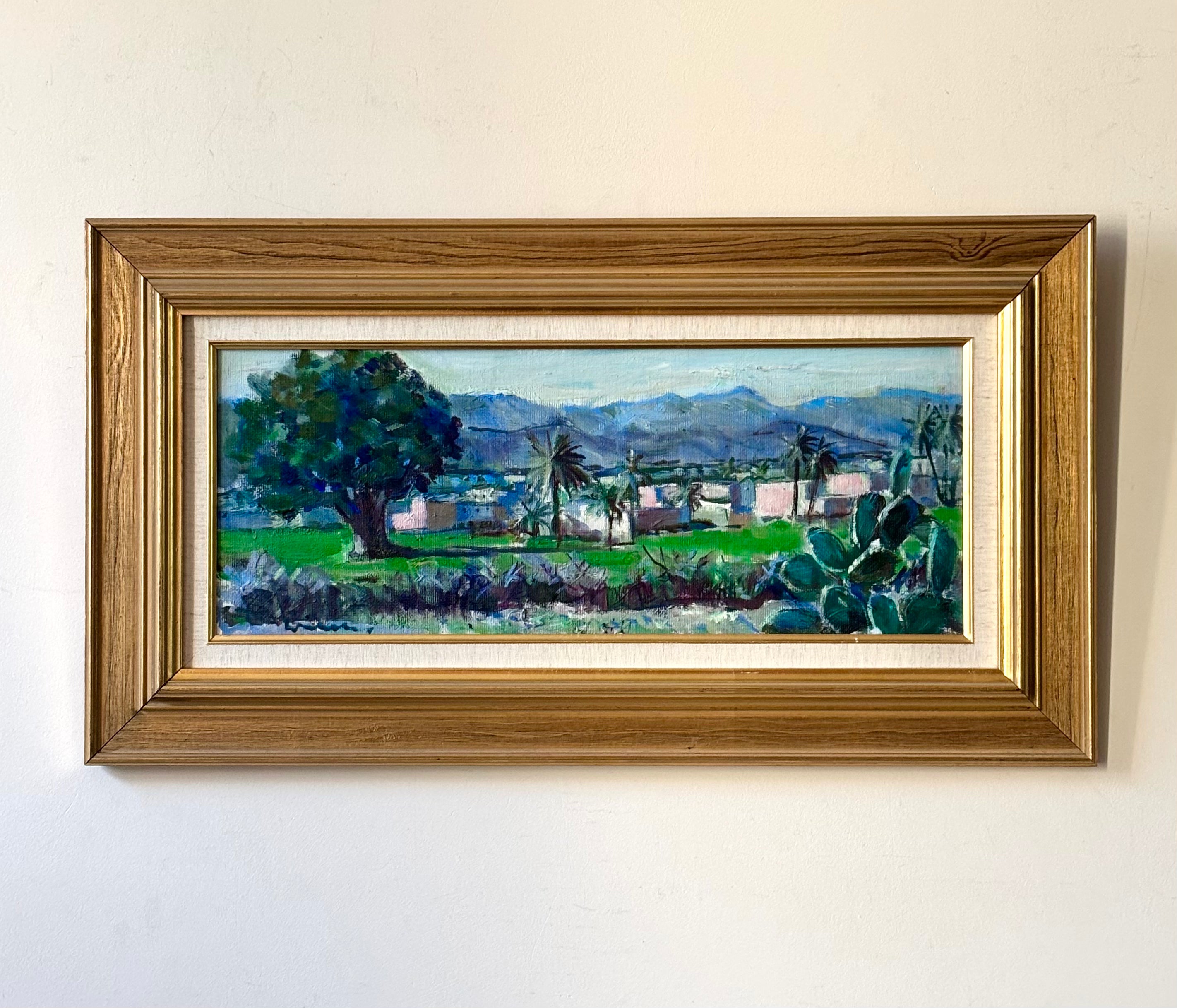 Moroccan Landscape in Spring